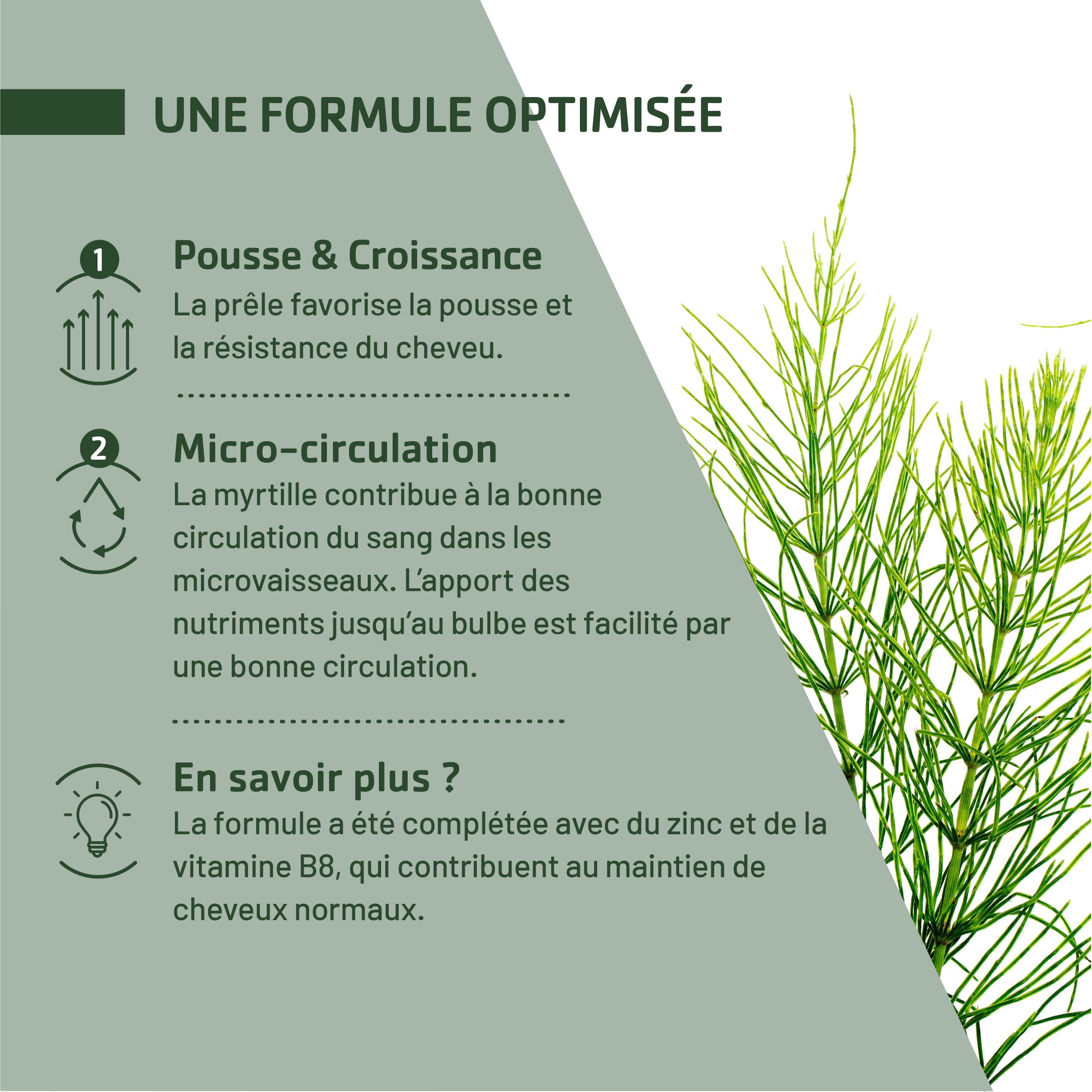 JUVAMINE - Chute de Cheveux : Pousse + Croissance - 6 Actifs Beauté dont Zinc et Biotine - Favorise la Croissance et la Résistance des Cheveux - Programme de 1 mois - 30 Comprimés - Fabriqué en France