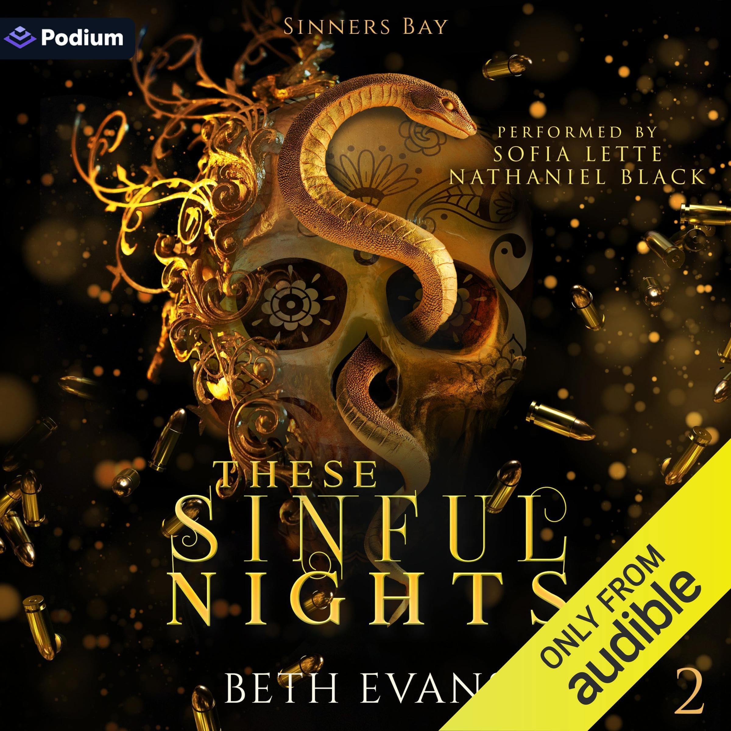 Cover art for These Sinful Nights