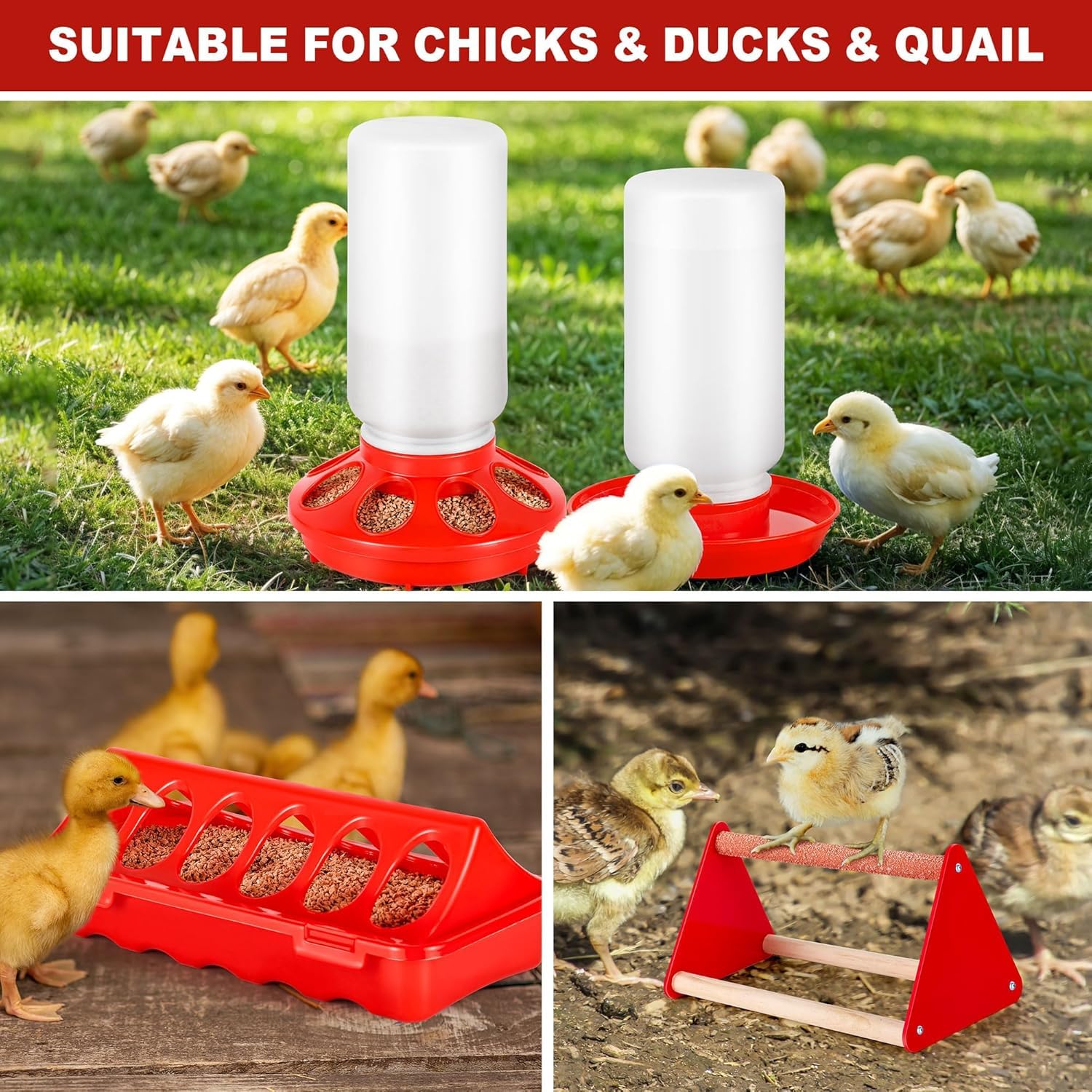 5pcs1kg Hühner Futterautomat und 1 L Hühnertränke im Set,Geflügel Futterautomat und Tränke im Set mit Hühner-Sitzstange, Für kleines Geflügel wie Wachteln, Tauben, Gänsen sowie deren Daunen usw.