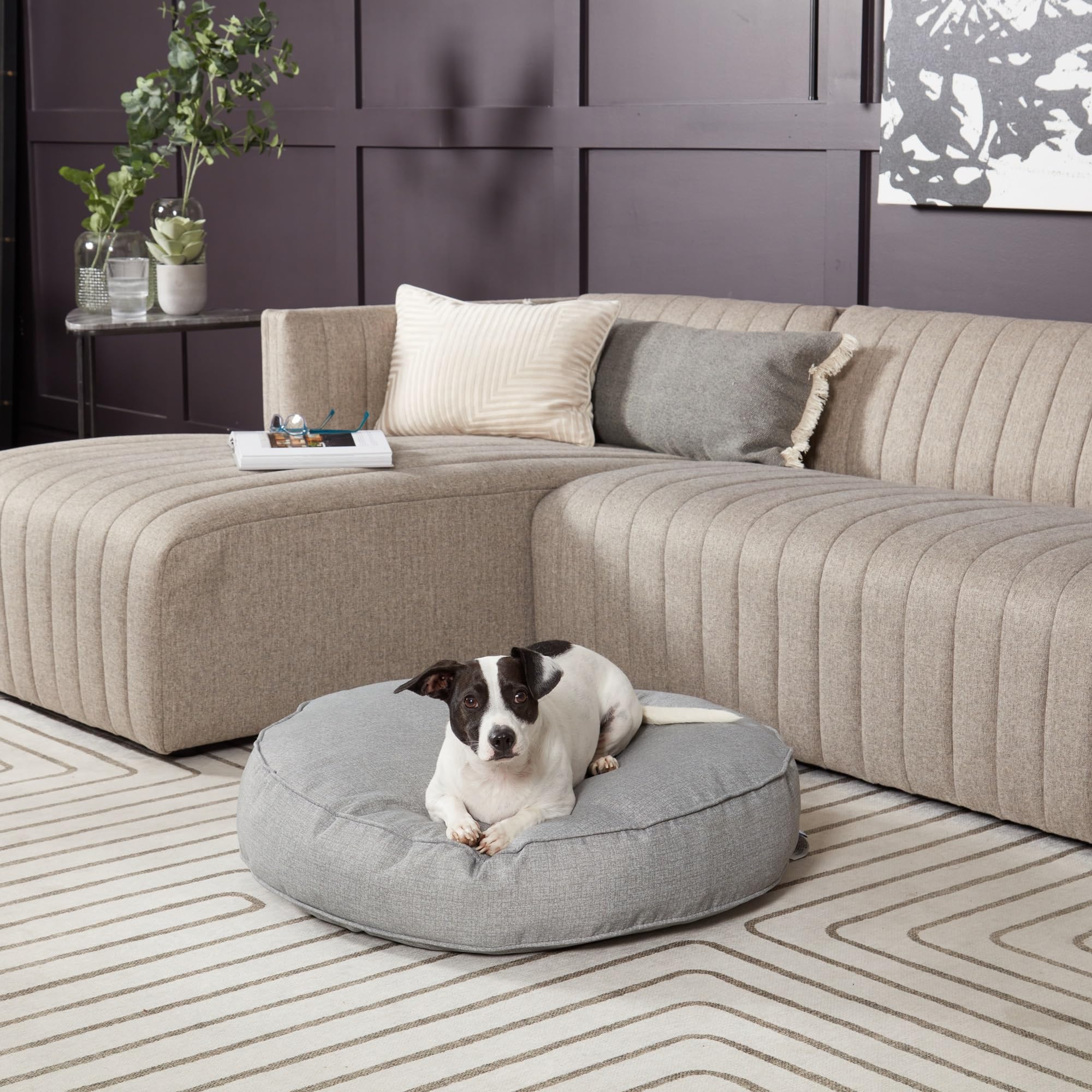 Gordie Round Indoor/Outdoor Pillow Style Dog Bed, Cement, Small