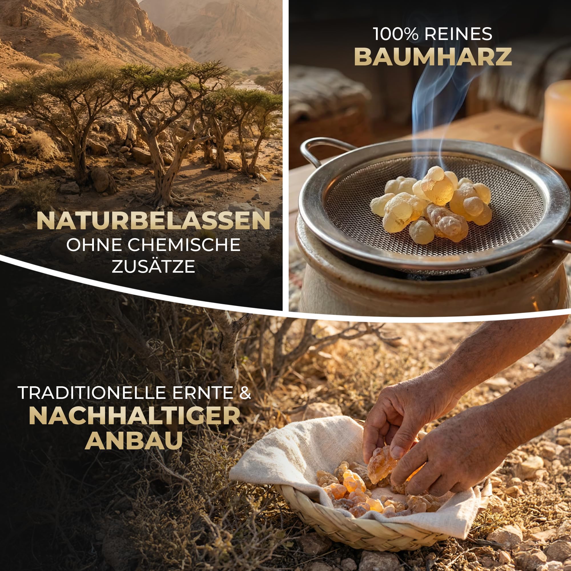 250g Premium Oman Superior Hojari Weihrauch zum Räuchern 1. Wahl - Original Boswellia Sacra - naturbelassener Frankincence Räucherharz Weiss/gelb/grün
