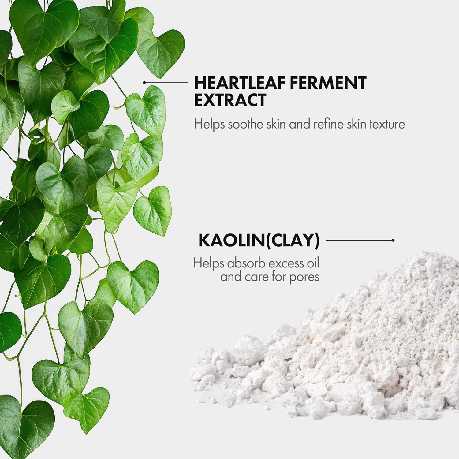 ELROEL Heartleaf Pore Control Gel Clay - Soothing and Gentle Exfoliating Facial Mask with Bentonite, Kaolin, Heartleaf Powder, PHA and LHA - Pore Cleansing and Oil Control Korean Skin Care 1.69 Fl Oz