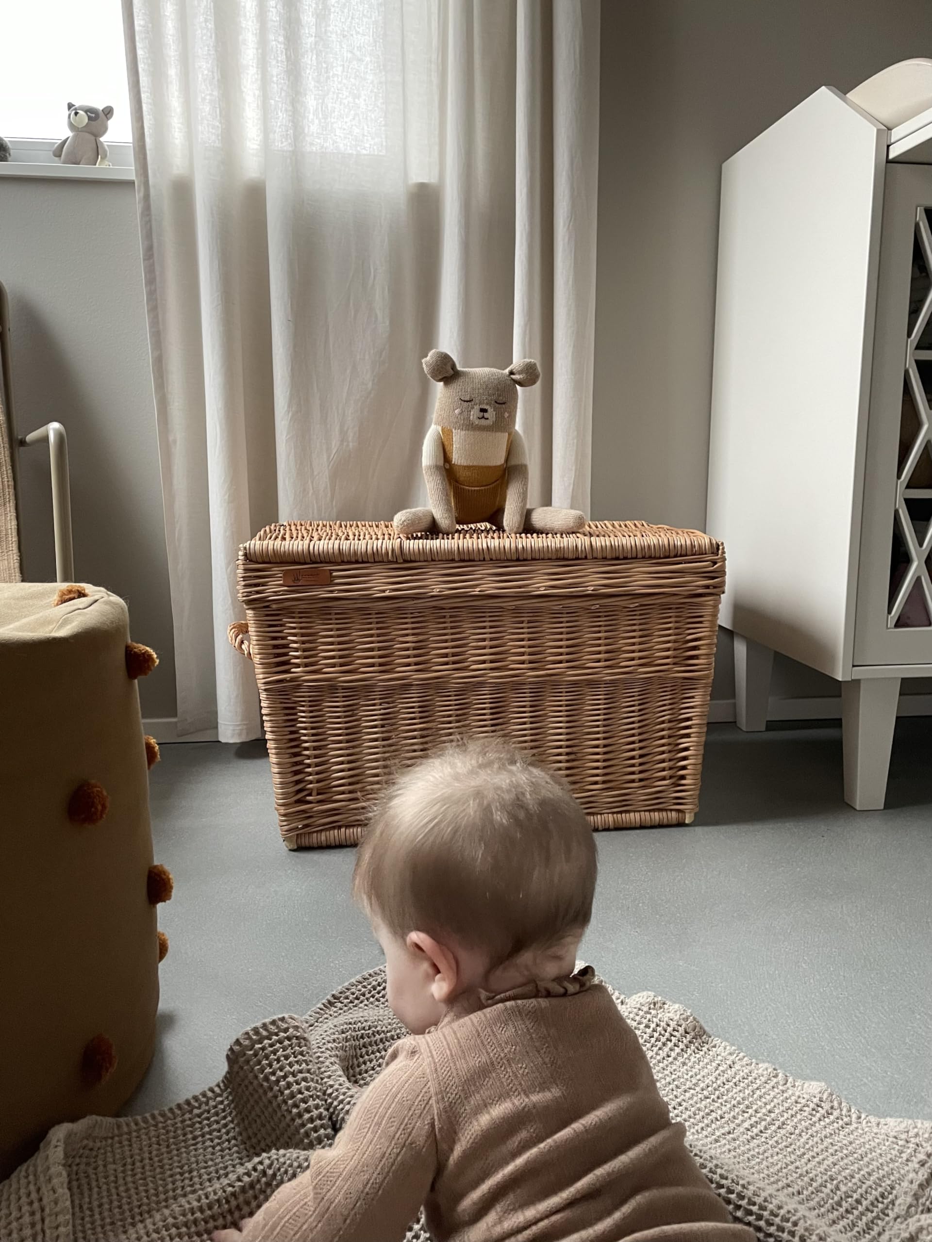e-wicker24 Coffre,malle, panier,corbeille de rangement en osier buff (60x39 H39, naturel)