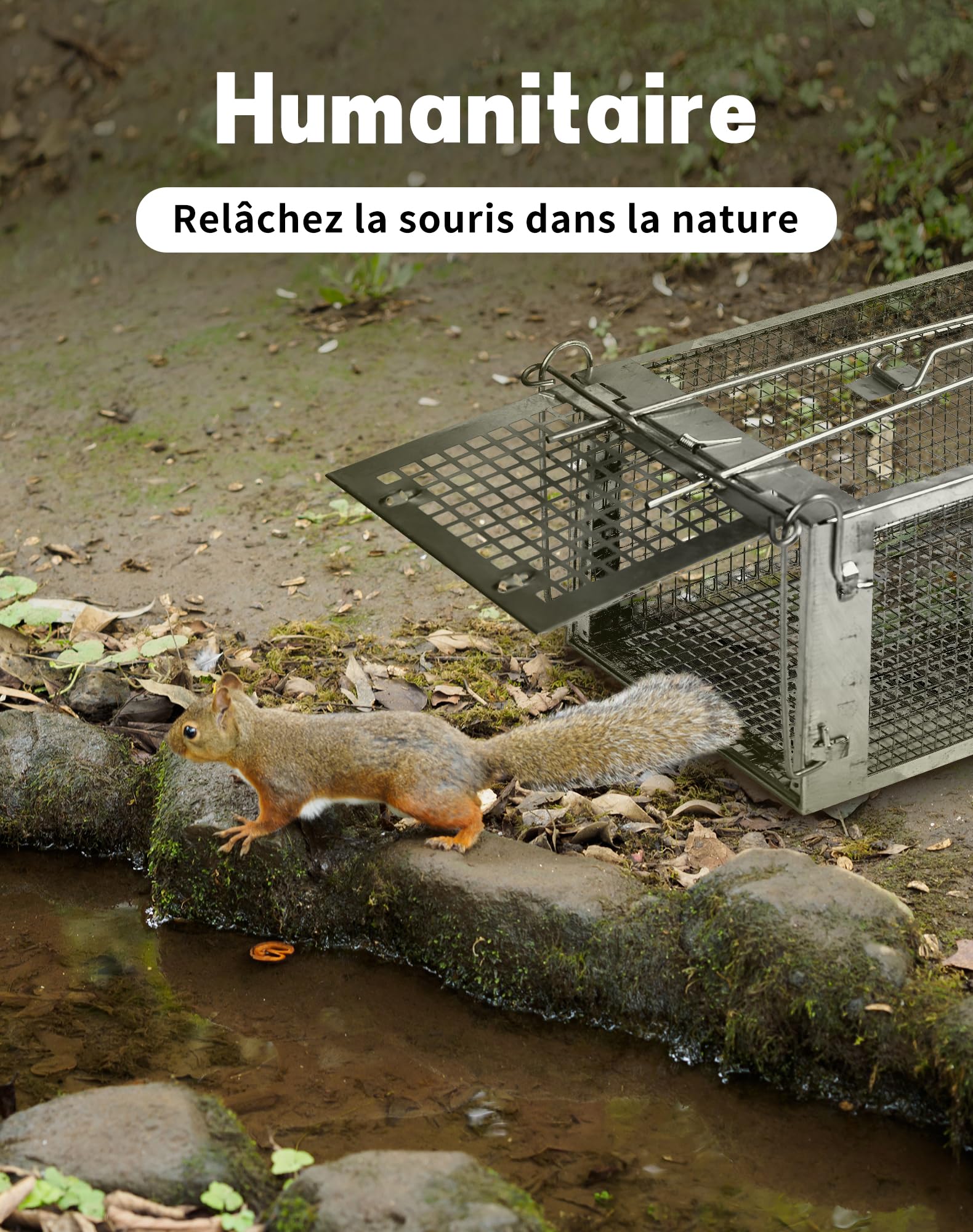 LAOYE Piège à Rat Cage Attrape Souris 2 Pcs Pièges à Rats Rongeurs Professionnel Extérieure Métal Grande Taille