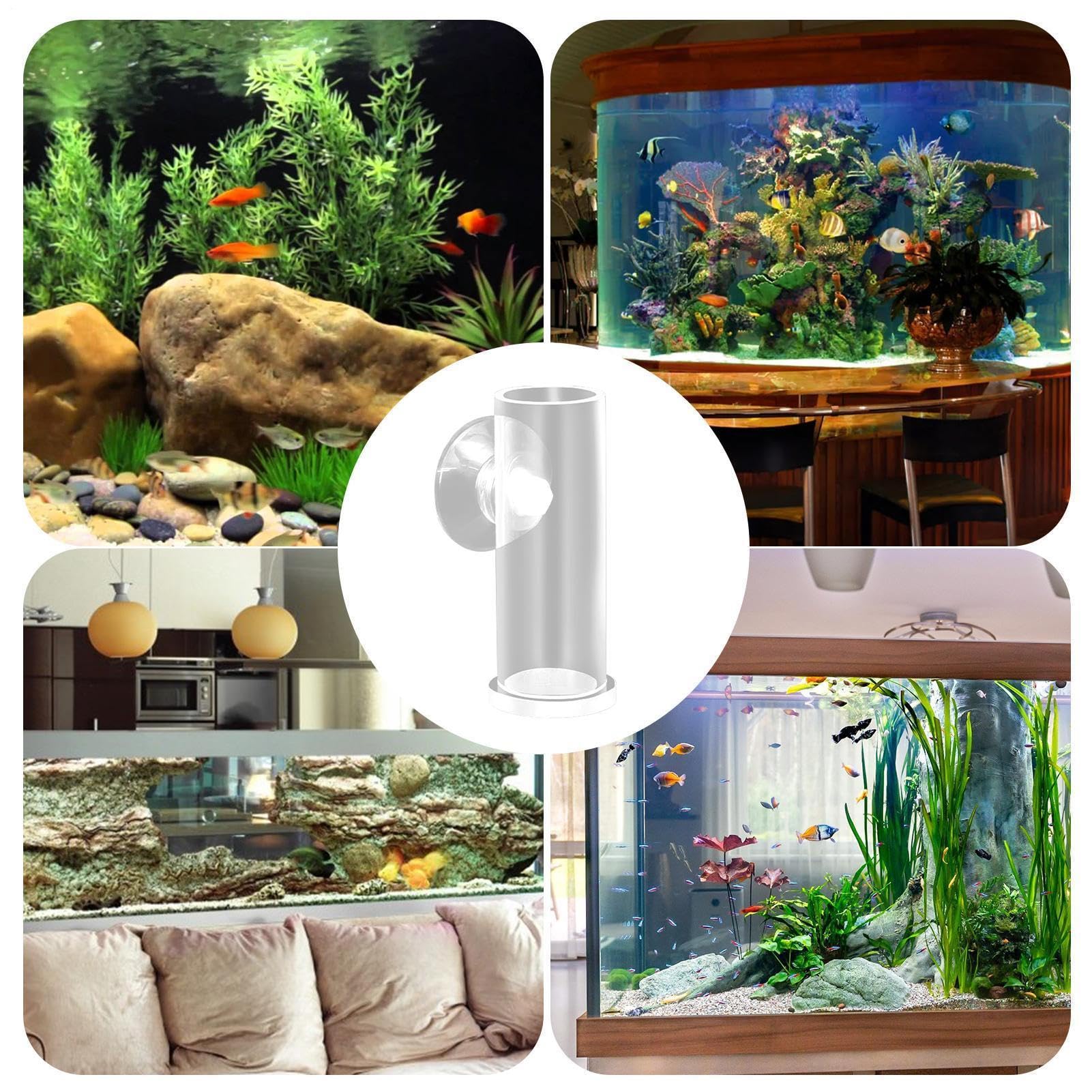 Acrylic Fish Food Feeder, Compact Sturdy Smooth Cylindrical Treat Dispenser Tube, 2.76x0.98x0.98 inches Portable Convenient Aquarium Feeding Tool for Large and Small Fish Tanks