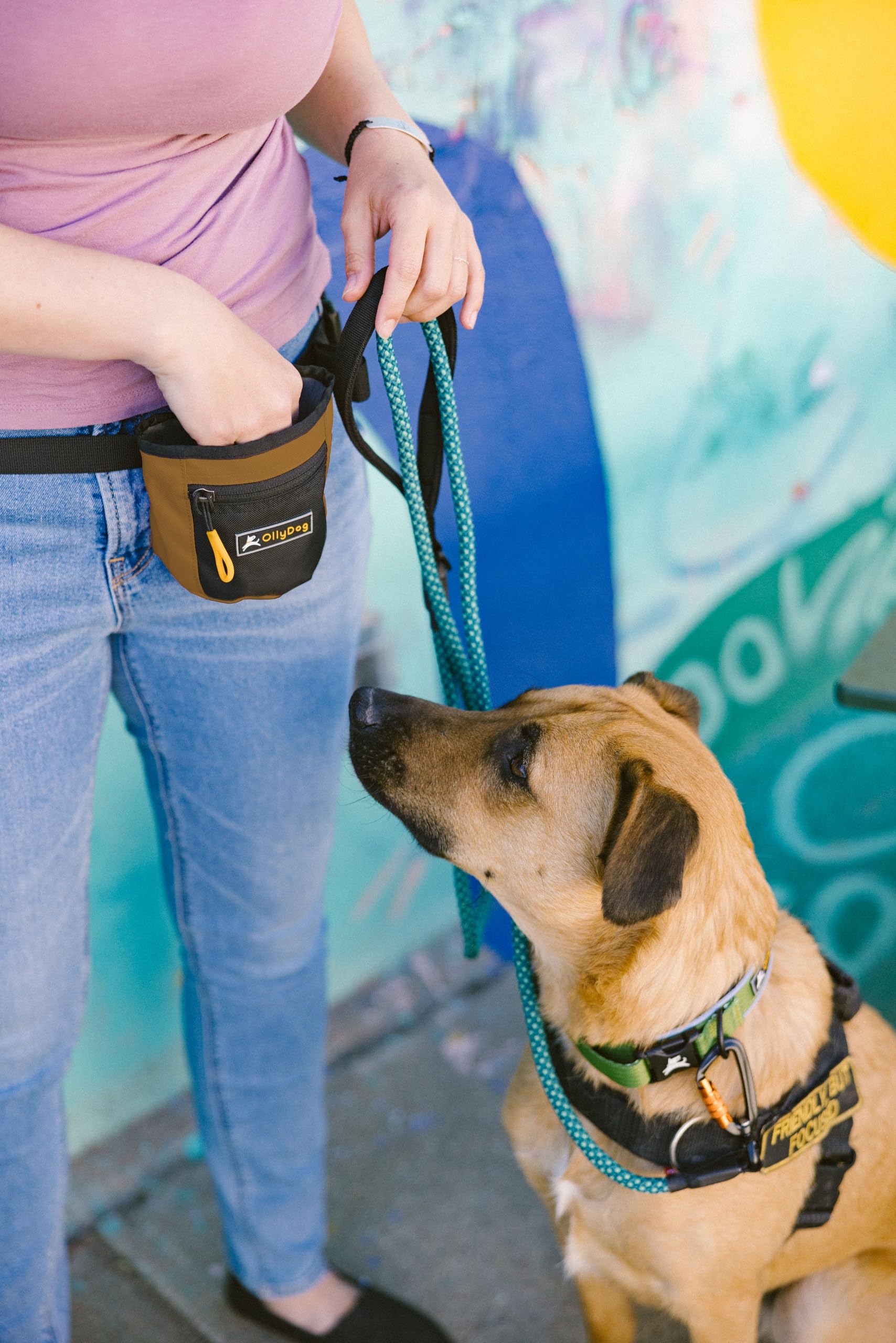 Dog Friendly Best Dog Training Pouch GREENER WALKER 1080 Dog Poop