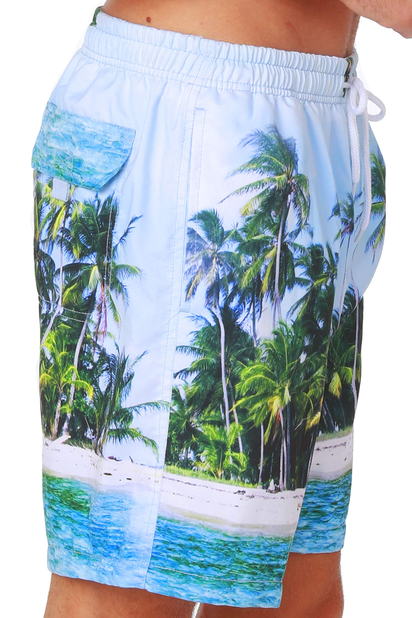 INGEAR Men's Swim Trunks Water Shorts Swimsuit Casual Beach Shorts with Mesh Lining (Large, Miami Day)