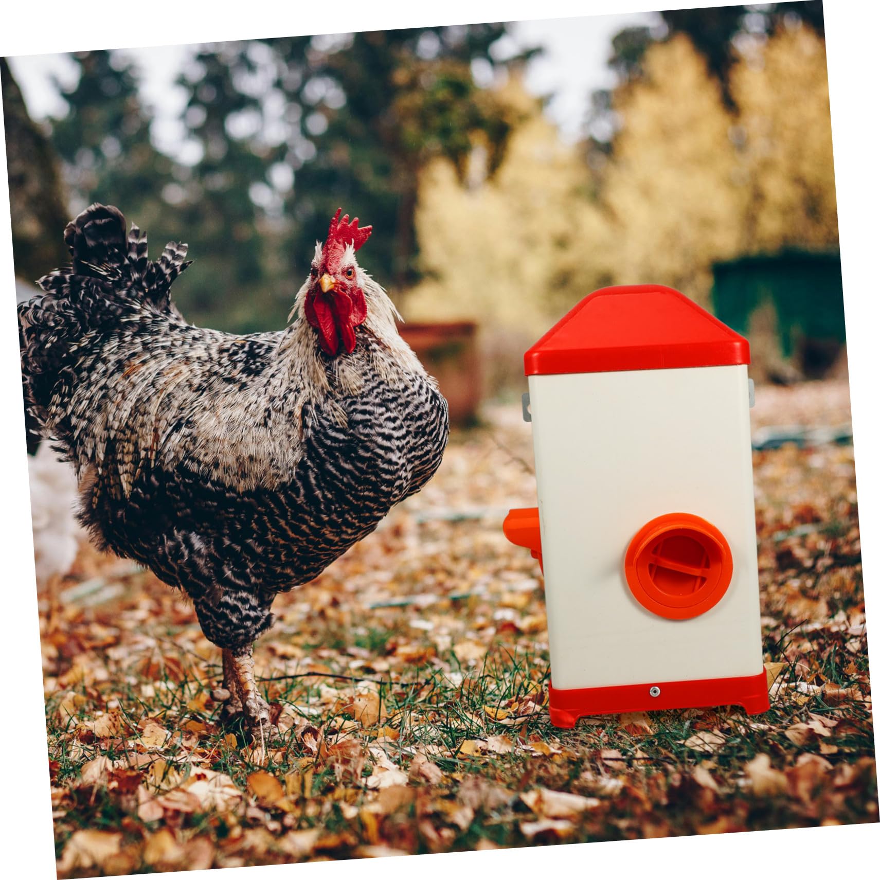 BESTonZON Mangeoire Poule Réutilisable Résistante Soleil et Aux Chocs Distributeur Alimentaire Pratique pour Volailles