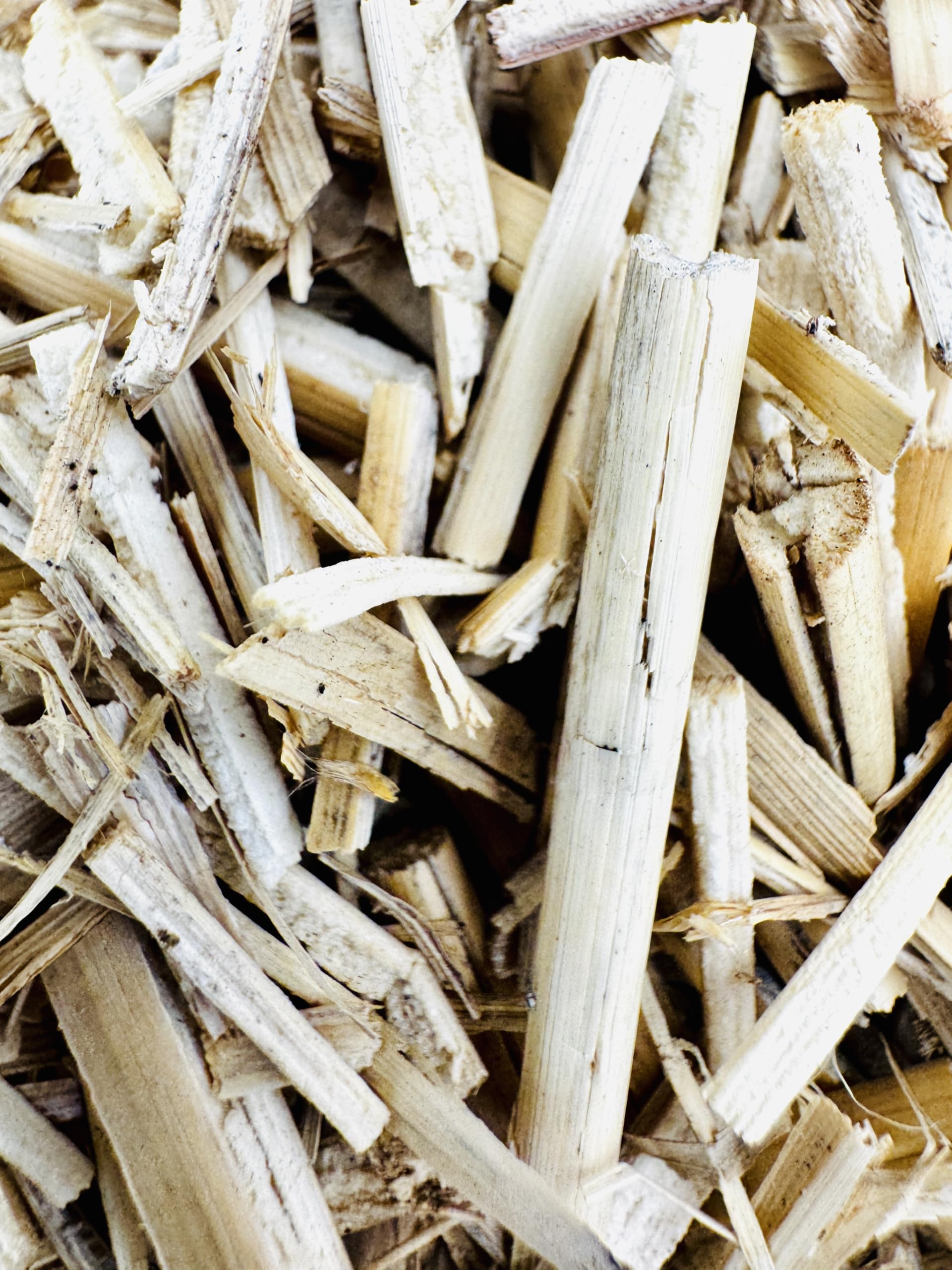 Paillage Naturel Miscanthus Français 15 kg (130L) Support de Culture NF U 44-551