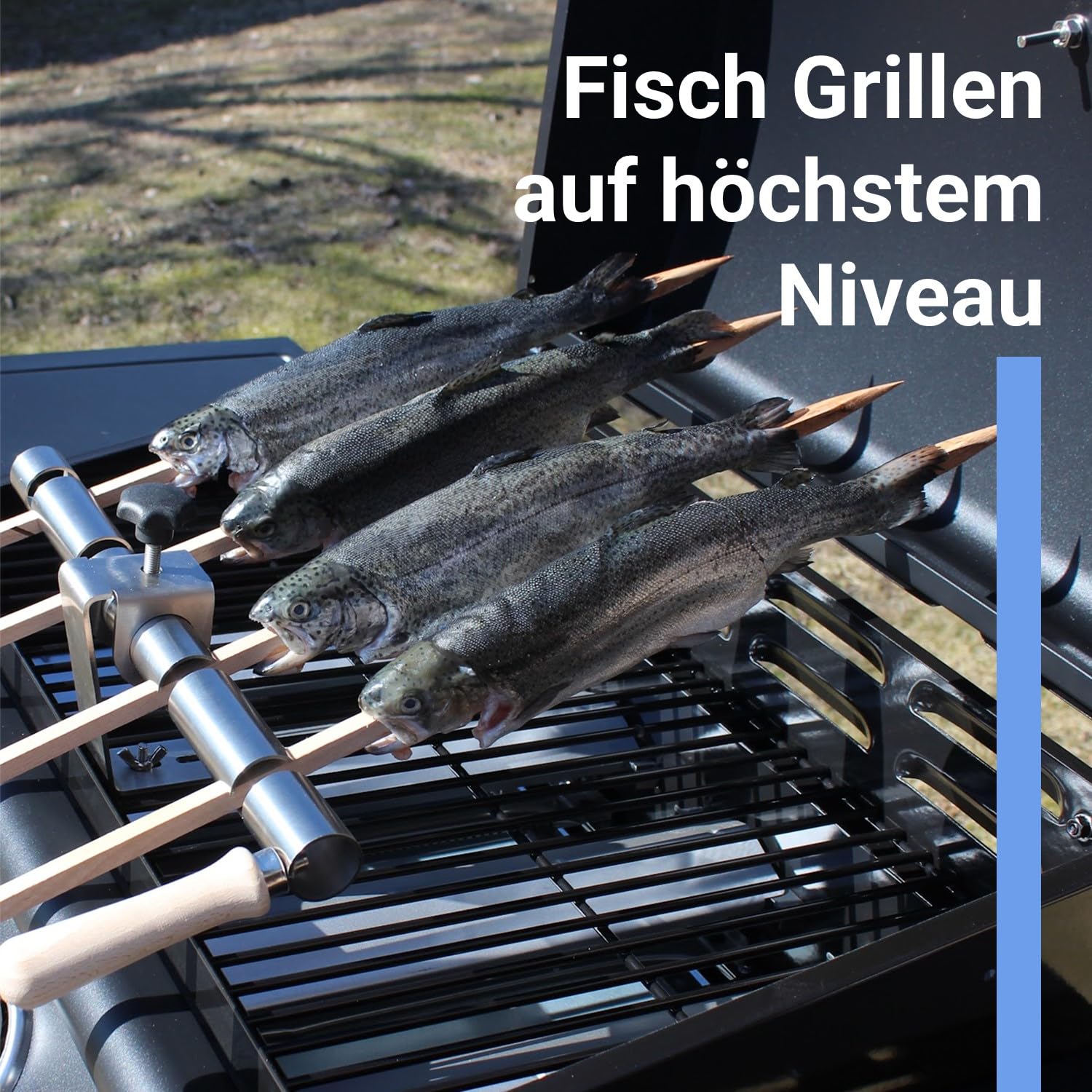 Steckerlfisch Halter 4 Buchenholzspieße für Gas- & Kohlegrill