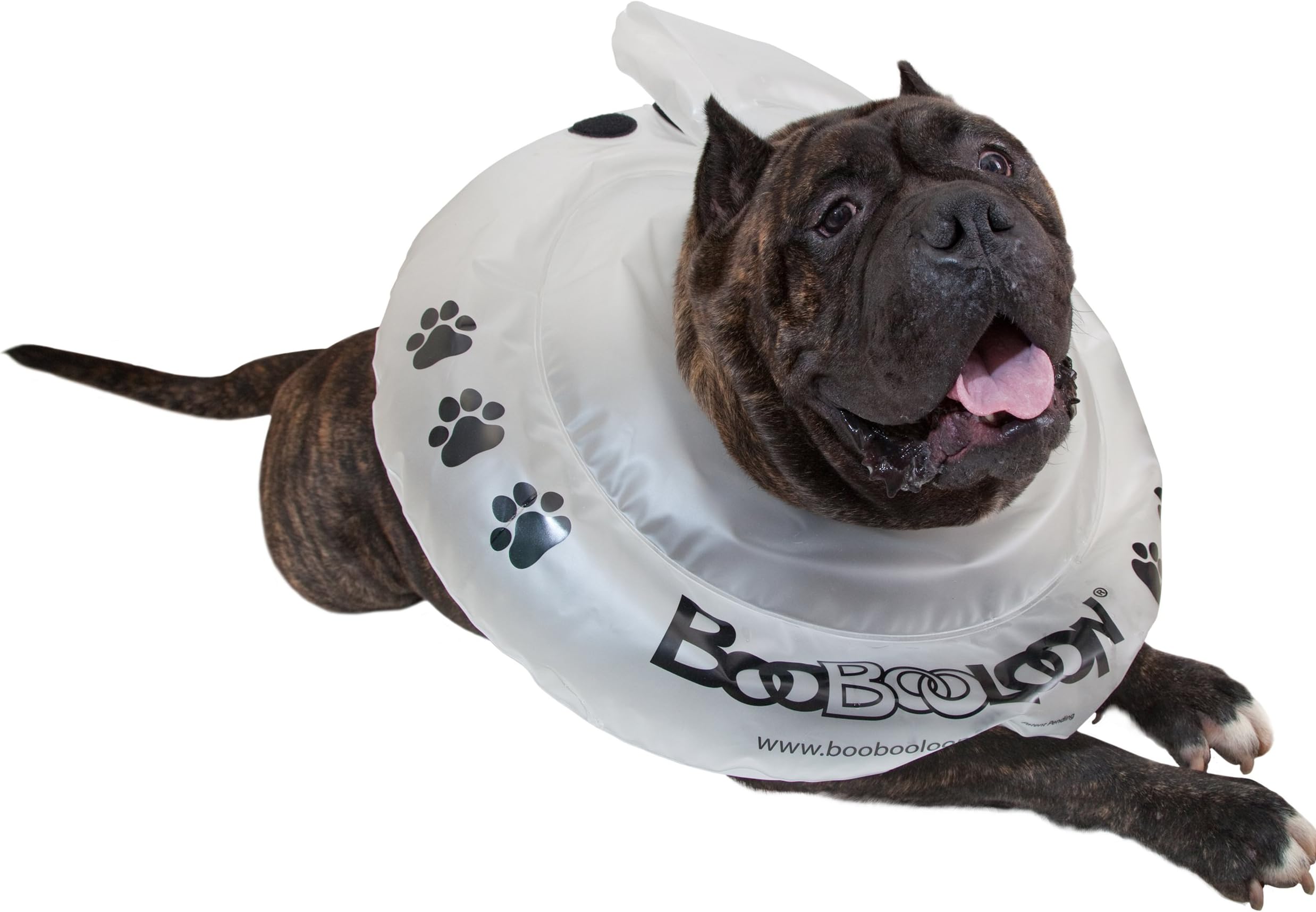 Inflatable Pet Recovery Collar 1 Extra Large Size