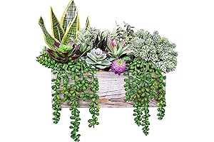 14 PCs Faux Succulent Assortment