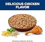 Hill's Science Diet Adult Chicken & Barley Entrée Wet Dog Food 12 x 370 g Can