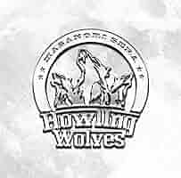 世良公則 60th ANNIVERSARY LIVE　Birth　2CD　中古 Amazon.co.jp: Howling Wolves: ミュージック