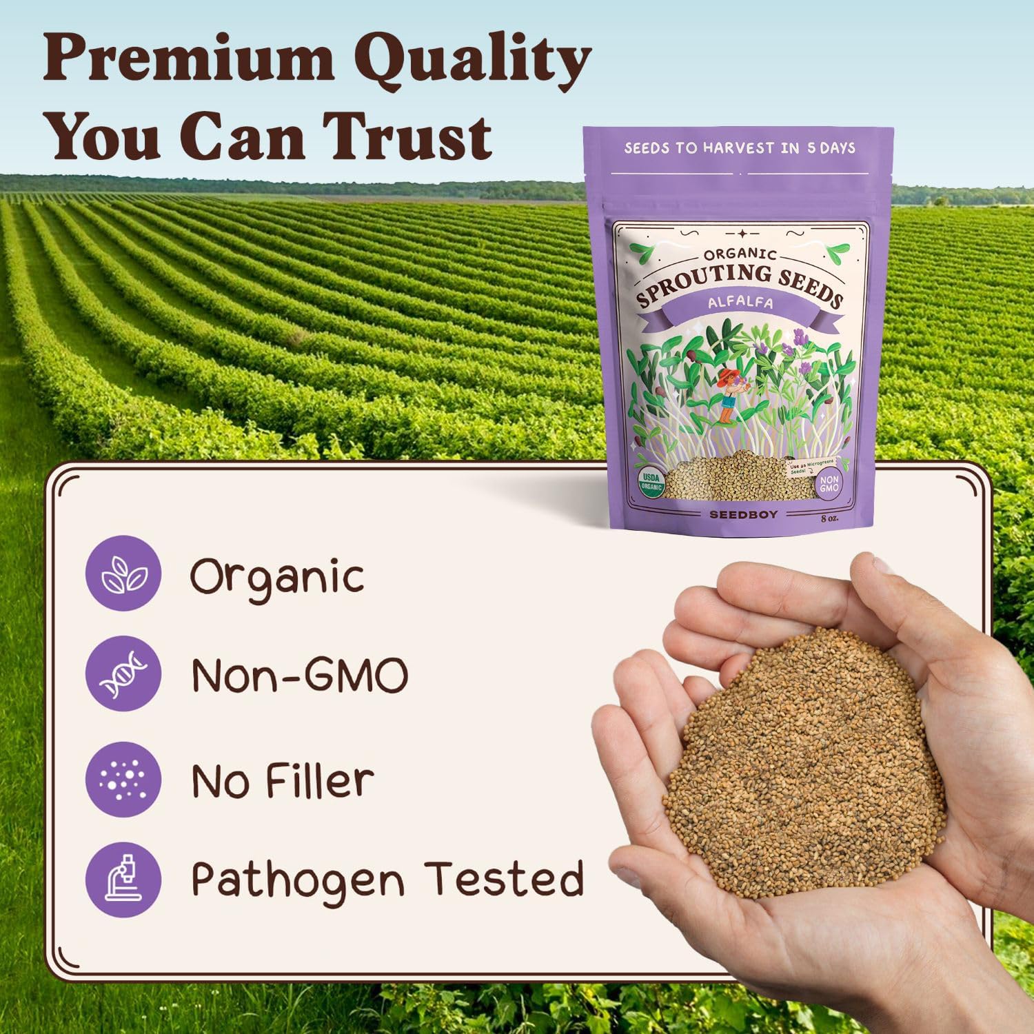 Seedboy Organic Non-GMO Alfalfa Seeds for Sprouting - Microgreens Sprouting Seeds - 8 oz Bag Makes 8 Quarts / 32 Servings (Alfalfa)