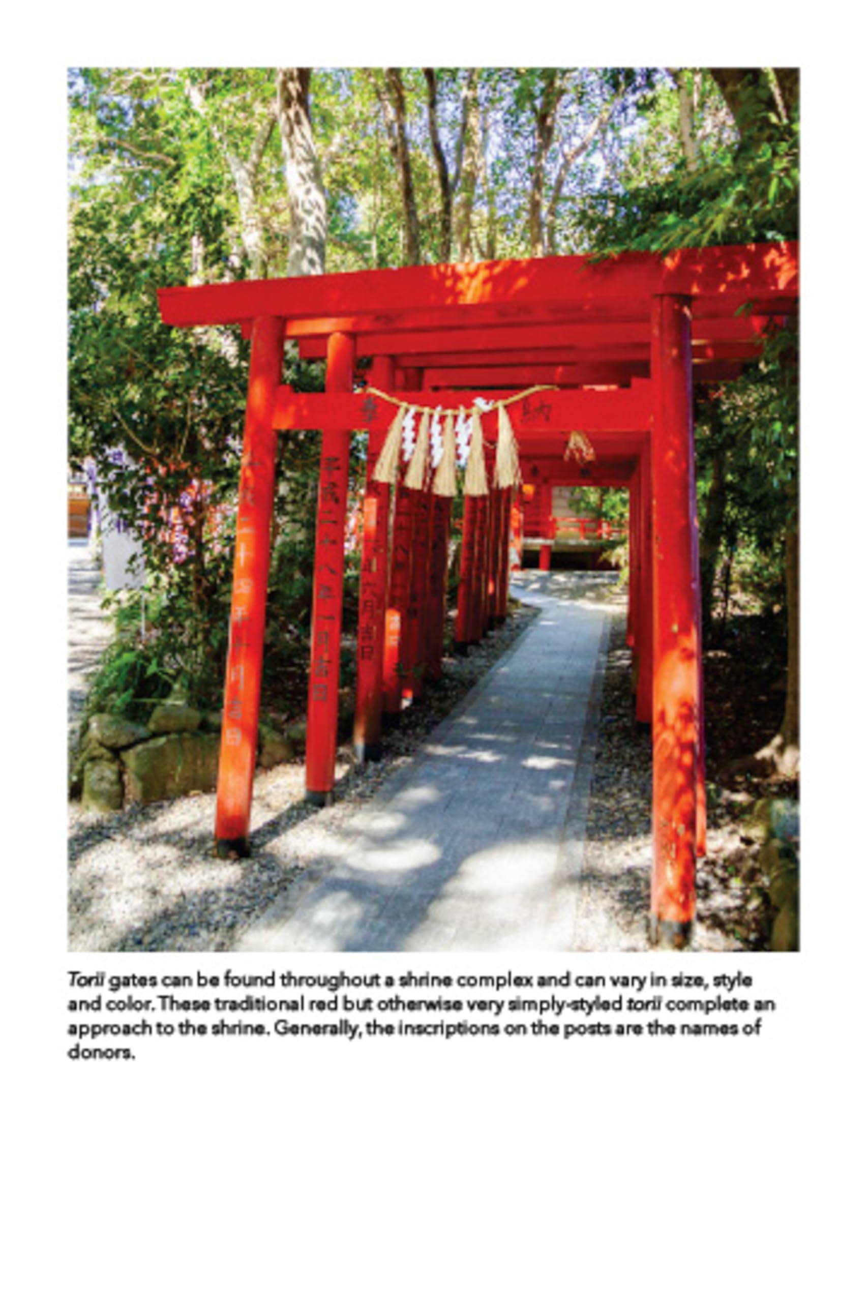 The Spirit of Shinto: Finding Nature and Harmony on Japan's Sacred Path