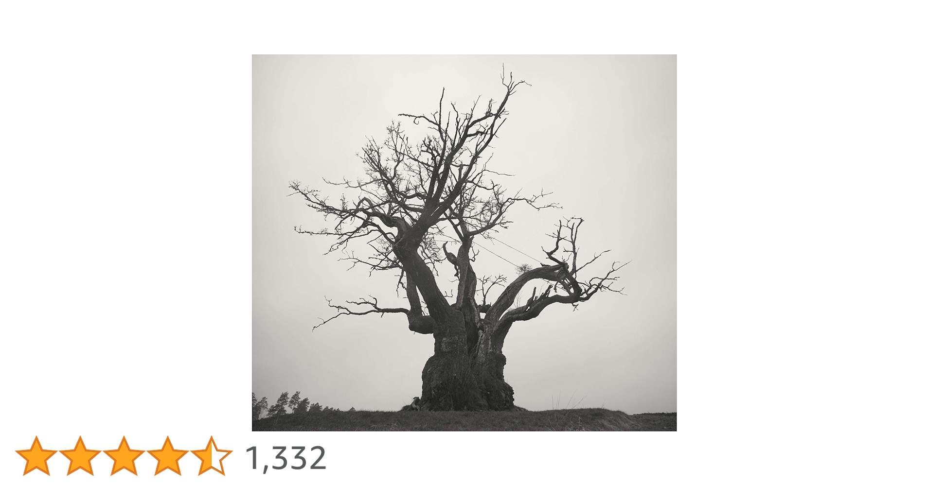 世界の終わりベストアルバム Amazon.co.jp: SEKAI NO OWARI 2010-2019 通常版 セカオワ