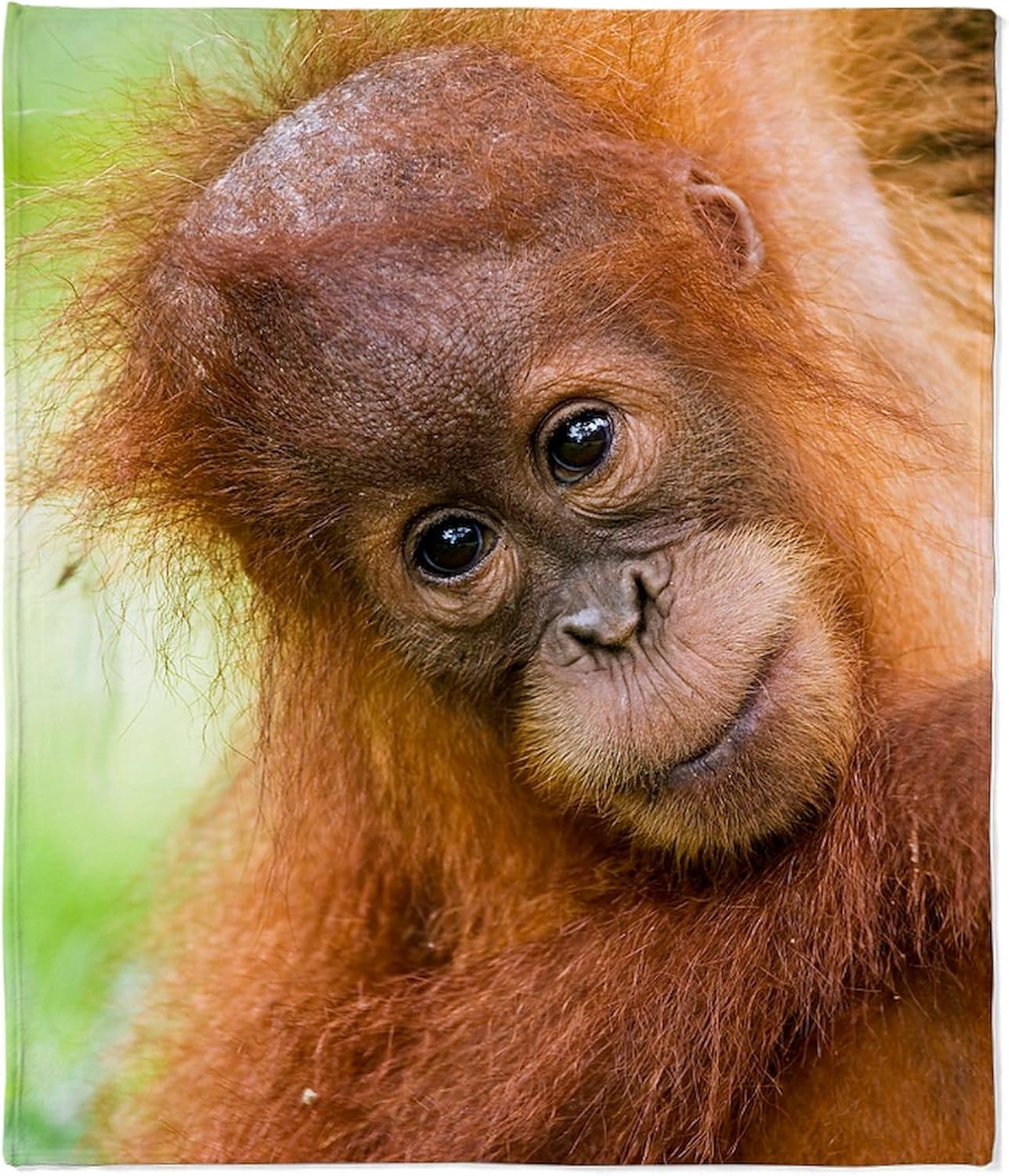 CafePress Young Sumatran Orangutan Throw Blanket Super Soft Fleece Plush Throw Blanket, 60"x50"