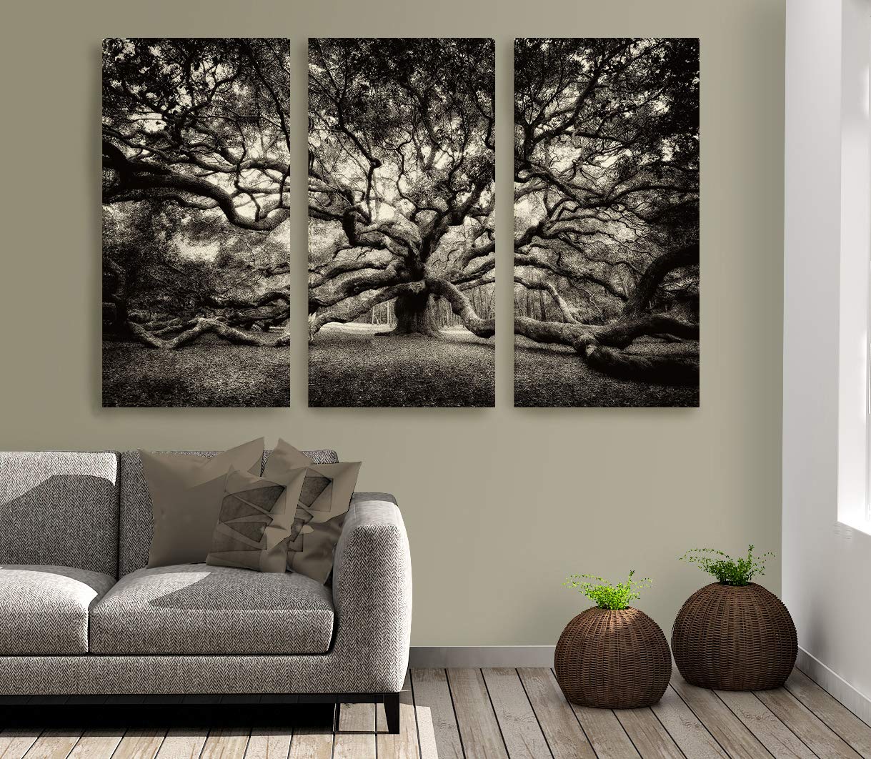 Amazon.com: Angel Oak Tree/Canvas TRIPTYCH/Charleston SC/Fine Art
