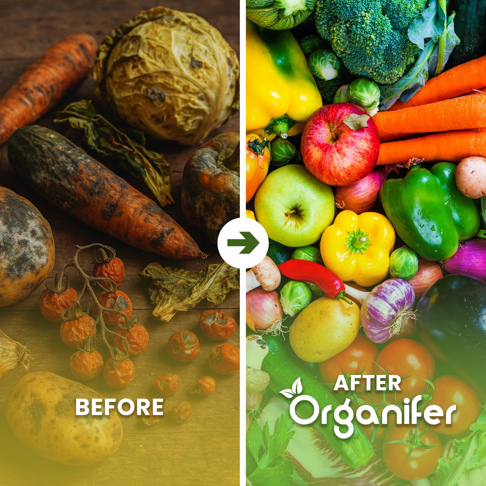 Organiczny Pakiet Nasion Warzyw | Nasiona Pomidora - Nasiona Ogórka - Nasiona Papryki - Nasiona Papryki - Nasiona Cukinii - Nasiona Organiczne - Organifer
