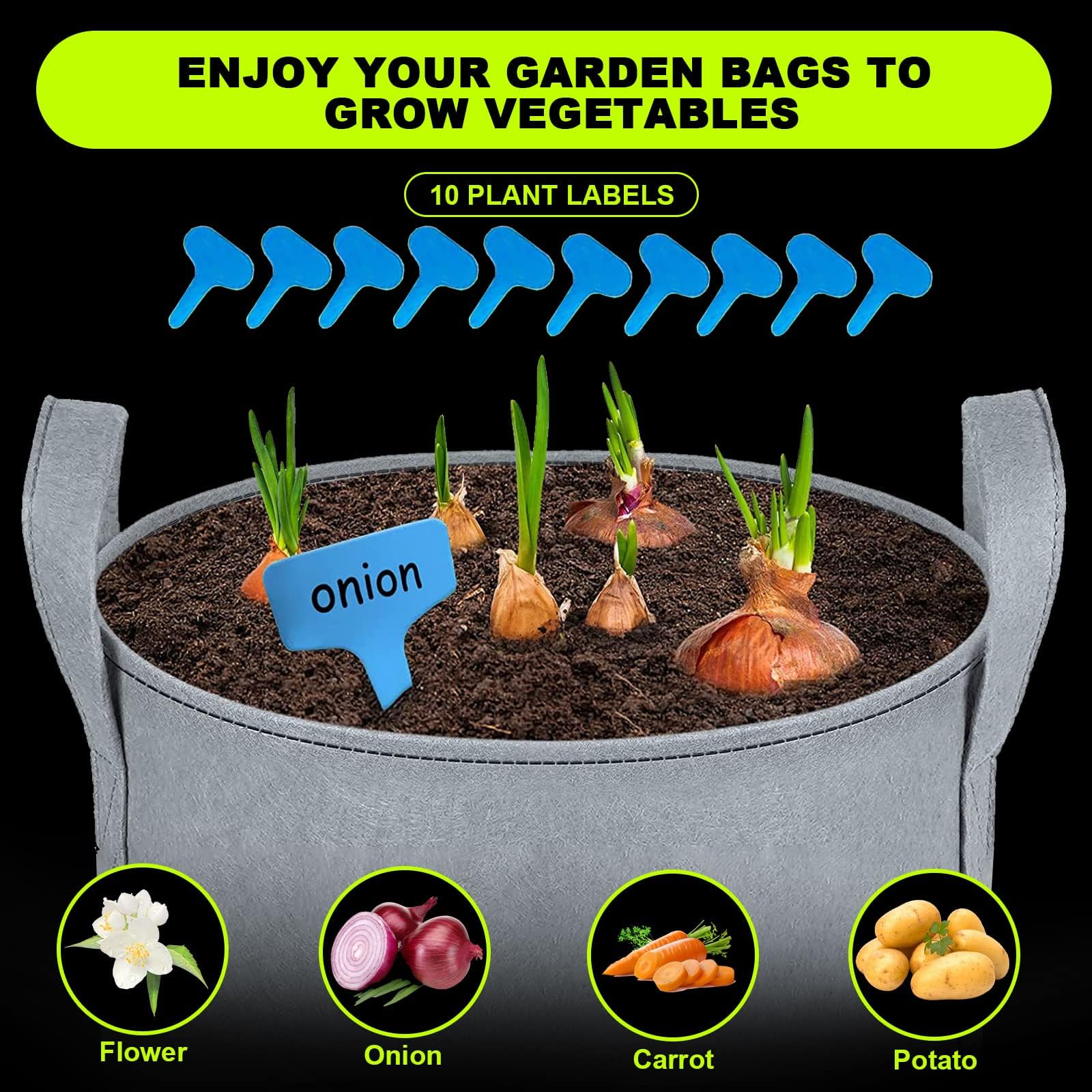Mumisuto Organiseur de Semences - 80 Emplacements en Plastique Avec Étiquette Autocollante - Rangement pour Tomates, Piment, Herbes, Légumes, Poivrons, Fleurs
