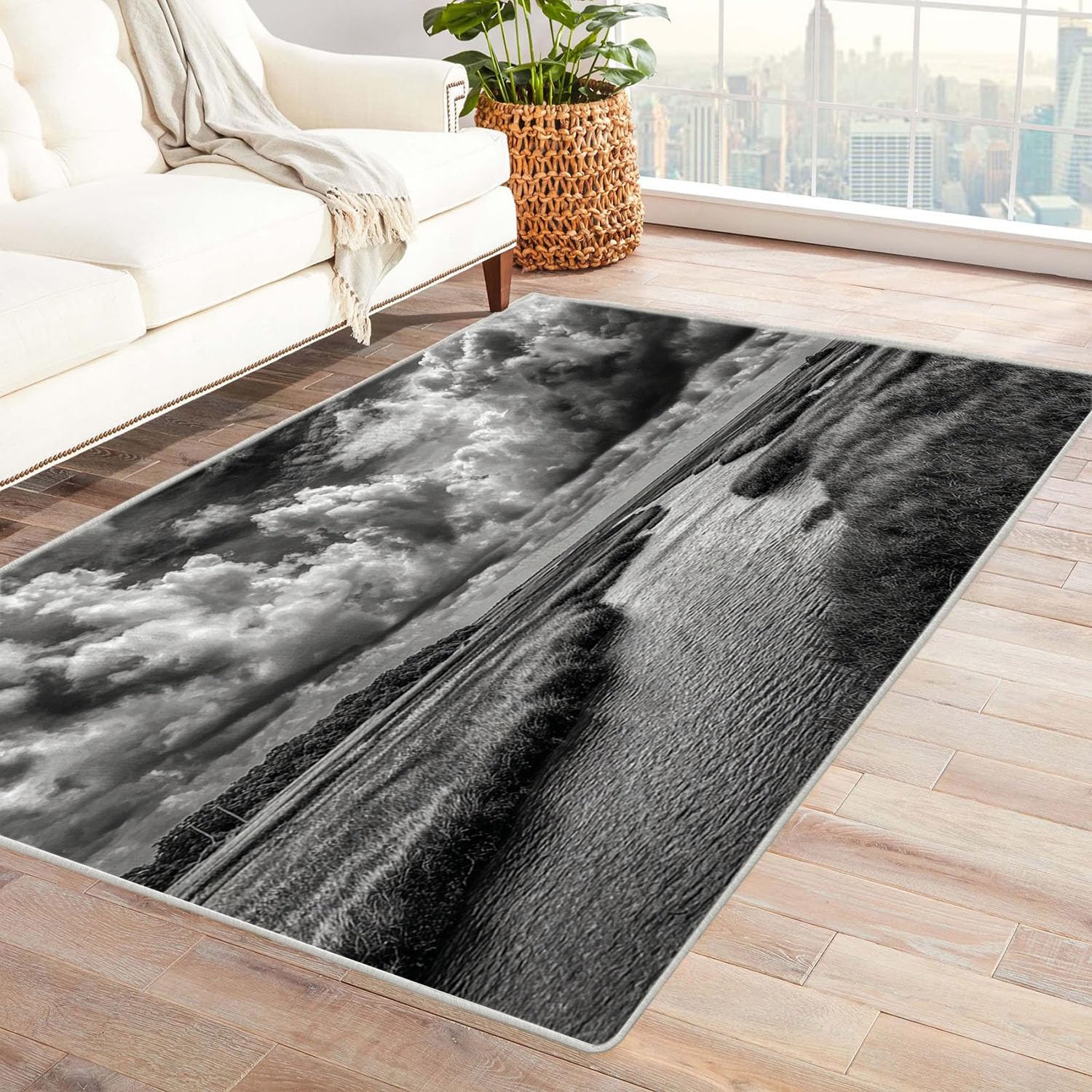 Kolorowy drukowany dywan do salonu rzeka pod chmurami do łazienki, kuchni (czarno-biały)-120x180cm