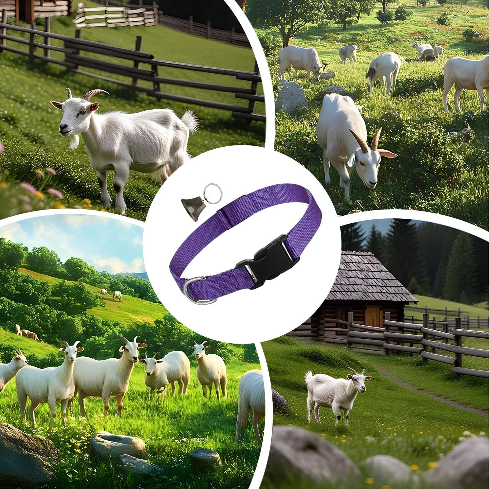 Collier pour Chèvres De Concours | Collier Réglable pour Moutons - Cloche Sonore Antiperte pour Pâturage – Accessoires d'Élevage pour Moutons, Vaches et Chèvres Domestiques