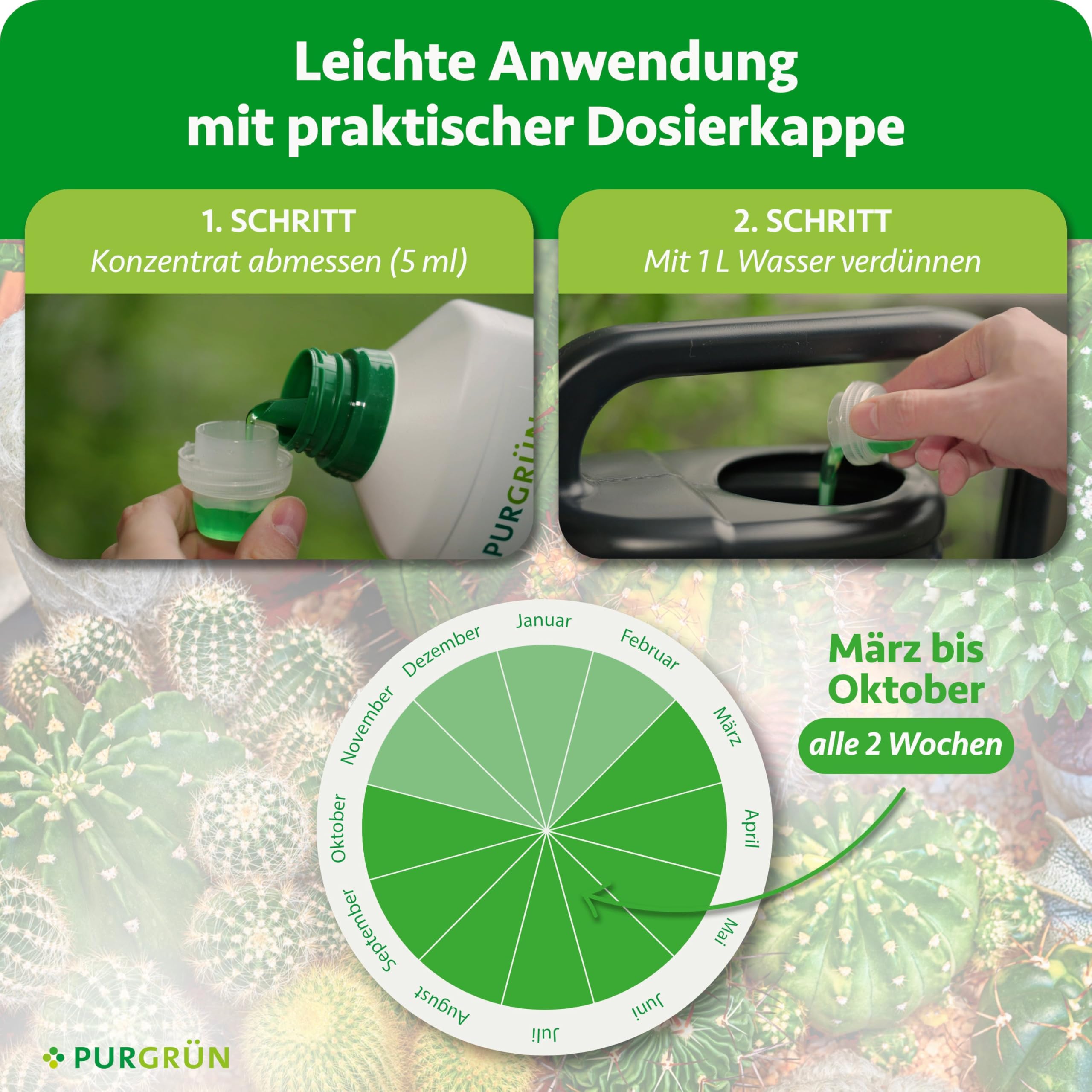 Kakteendünger 1 Liter – Spurennährstoffe für gleichmäßiges Wachstum – Extra Kalium fördert die Widerstandskraft – Ergiebiges Konzentrat für 200 Liter Gießwasser – Premium-Flüssigdünger