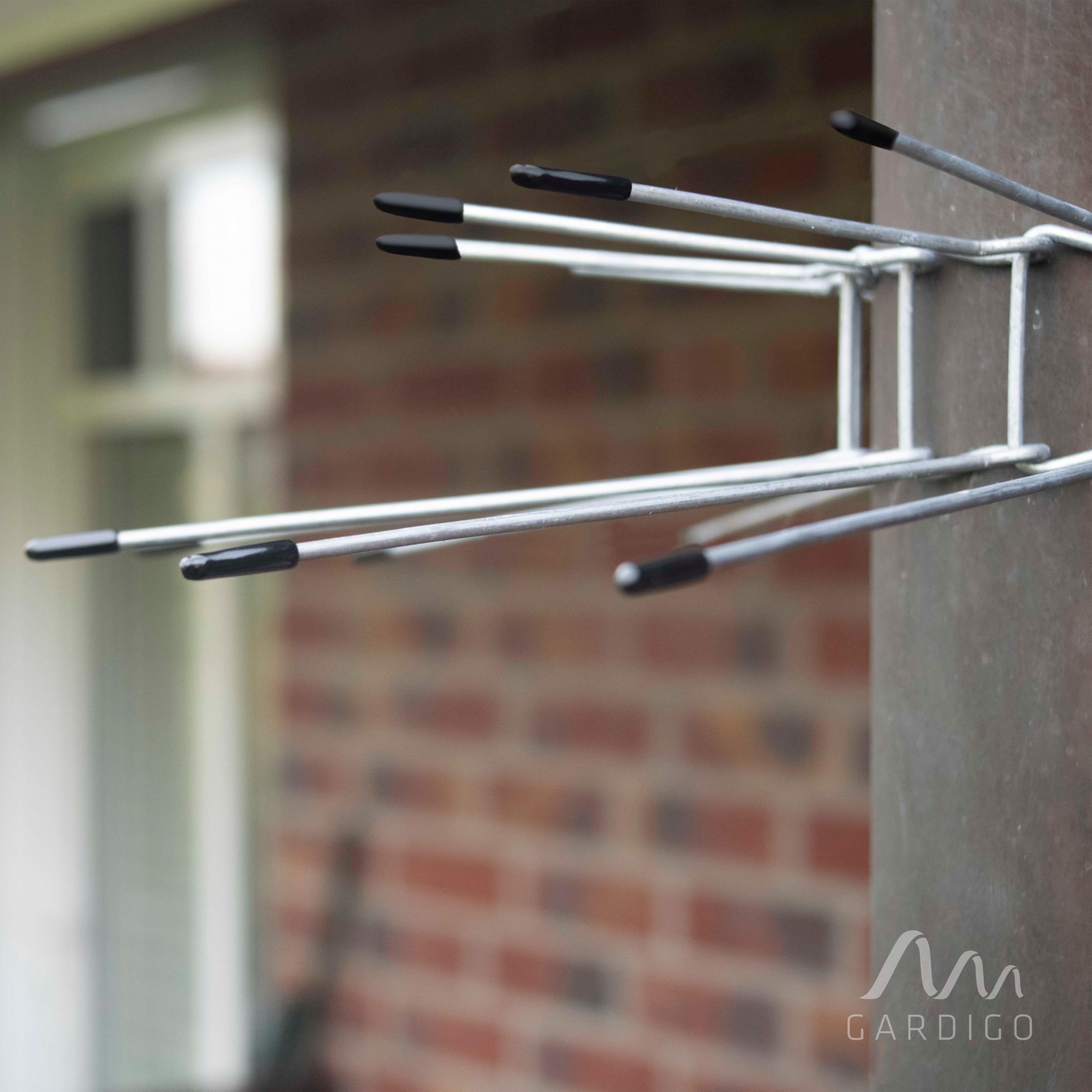 Cintura Anti-martora In Acciaio Inox 304 - 300cm Con Punte - Protezione Per Tubi E Alberi - Kit Completo Con Fissaggi E Guanti - 2