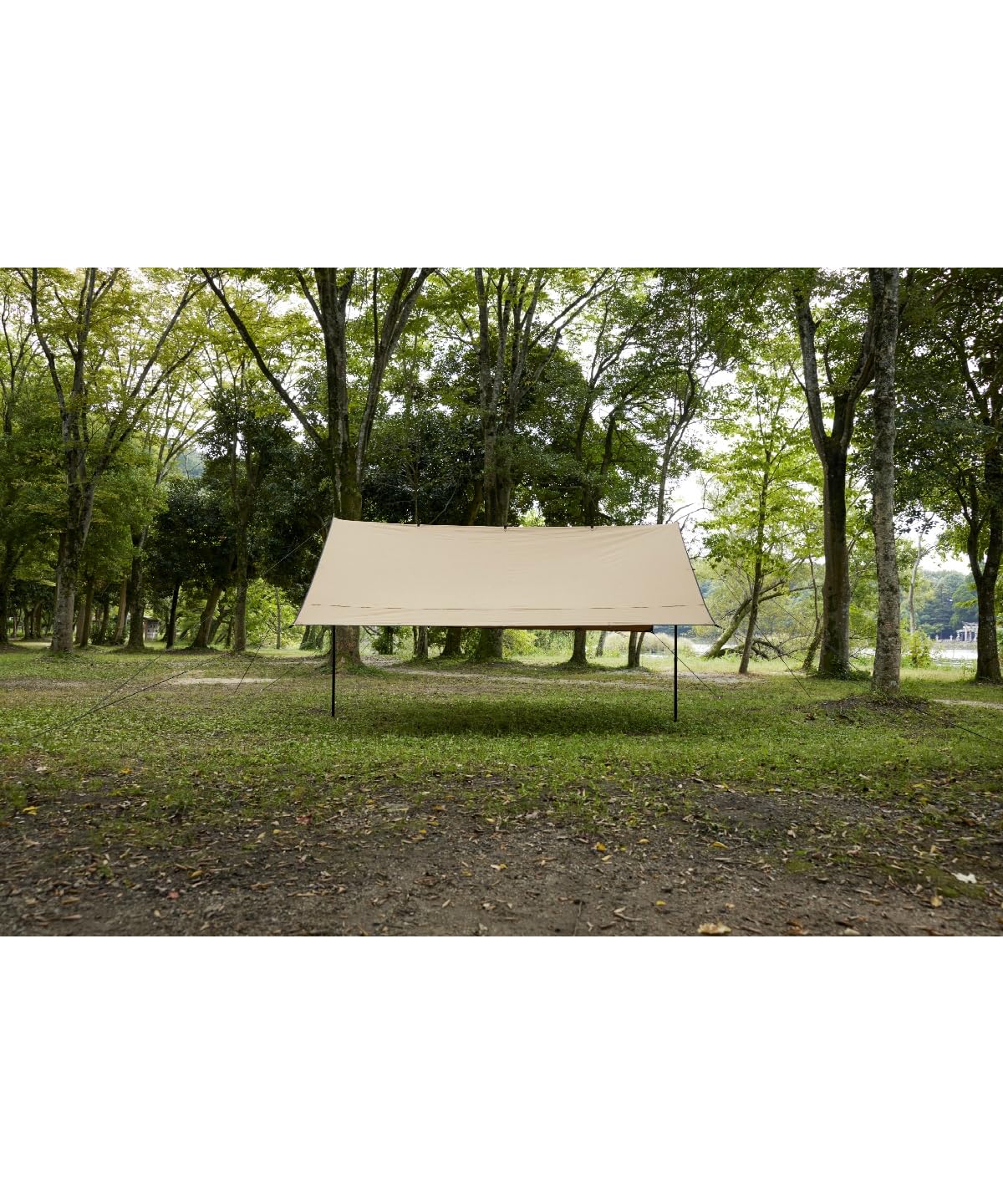 Amazon | [ビジョンピークス] マルチタープソロ TCマルチタープ