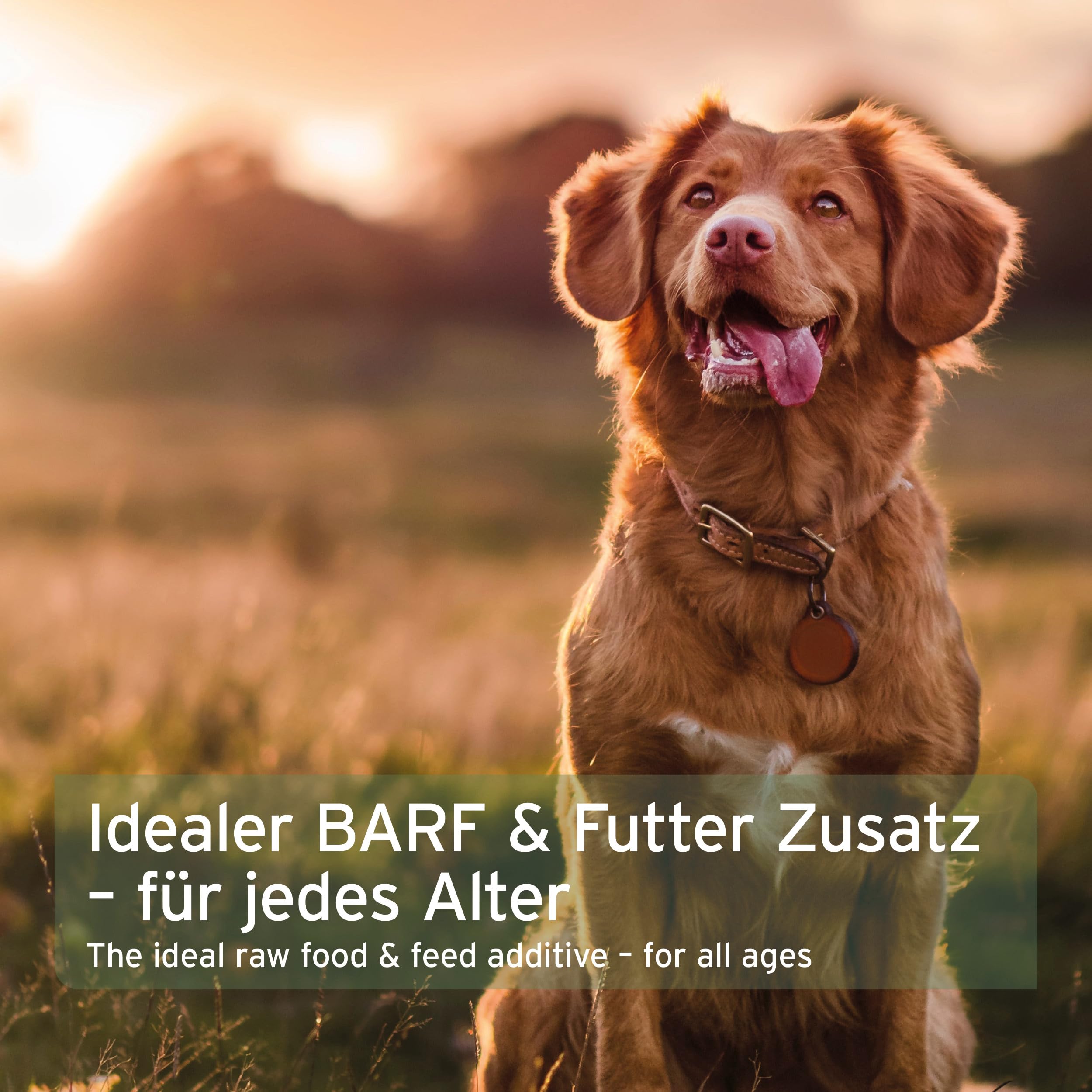 AniForte Barf-Püree Süßkartoffel & Birne - Bio Obst & Gemüse für Hunde 5x150 g - Futter-Topping zum Barfen, natürliche Barf Ergänzung