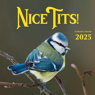 2025 Nice Tits Bird Watching Monthly Wall Calendar Fun Funny Photo Joke Gift Birder Birds Photos Large Dirty Prank Valentine's Birthday Gifts (2025 Tits)