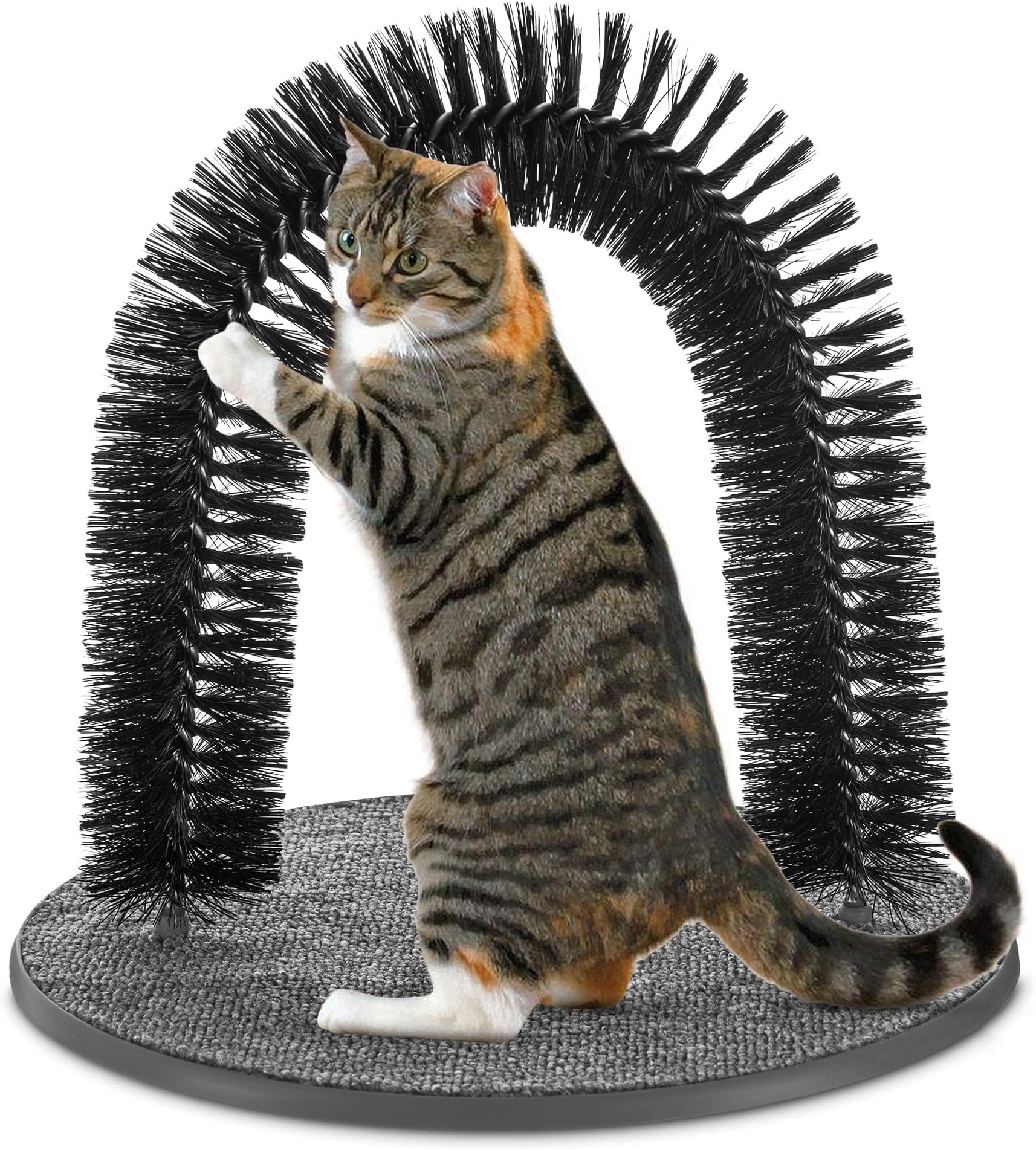 Cat Grooming Arch Self Grooming Massager All In One Cat & Kitten Pet