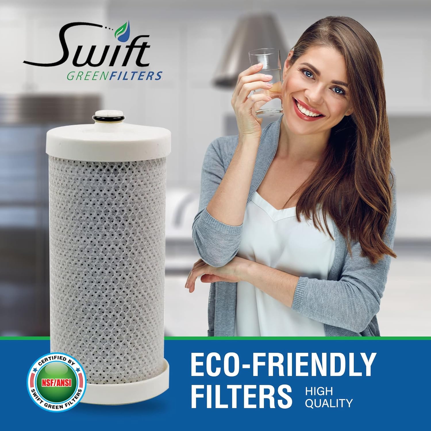 SGF-WFCB Rx Pharmaceutical Replacement water filter for Frigidaire WFCB,WF1CB, 240394501, NGRG-2000, RF-100, RG-100, 218710901, 218710902 Kenmore 469910 by Swift Green Filters (2 Pack)