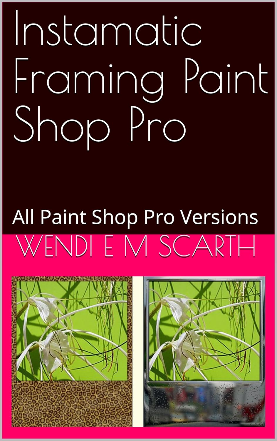 Instamatic Framing Paint Shop Pro All Paint Shop Pro