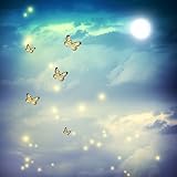 - Verwendung Diashow Option Fantasie Live Wallpapers