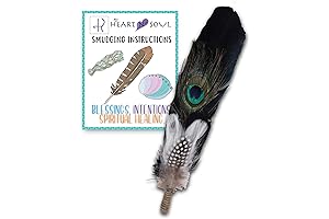 Smudge Feather, Turkey and Peacock Feather for House Smudging