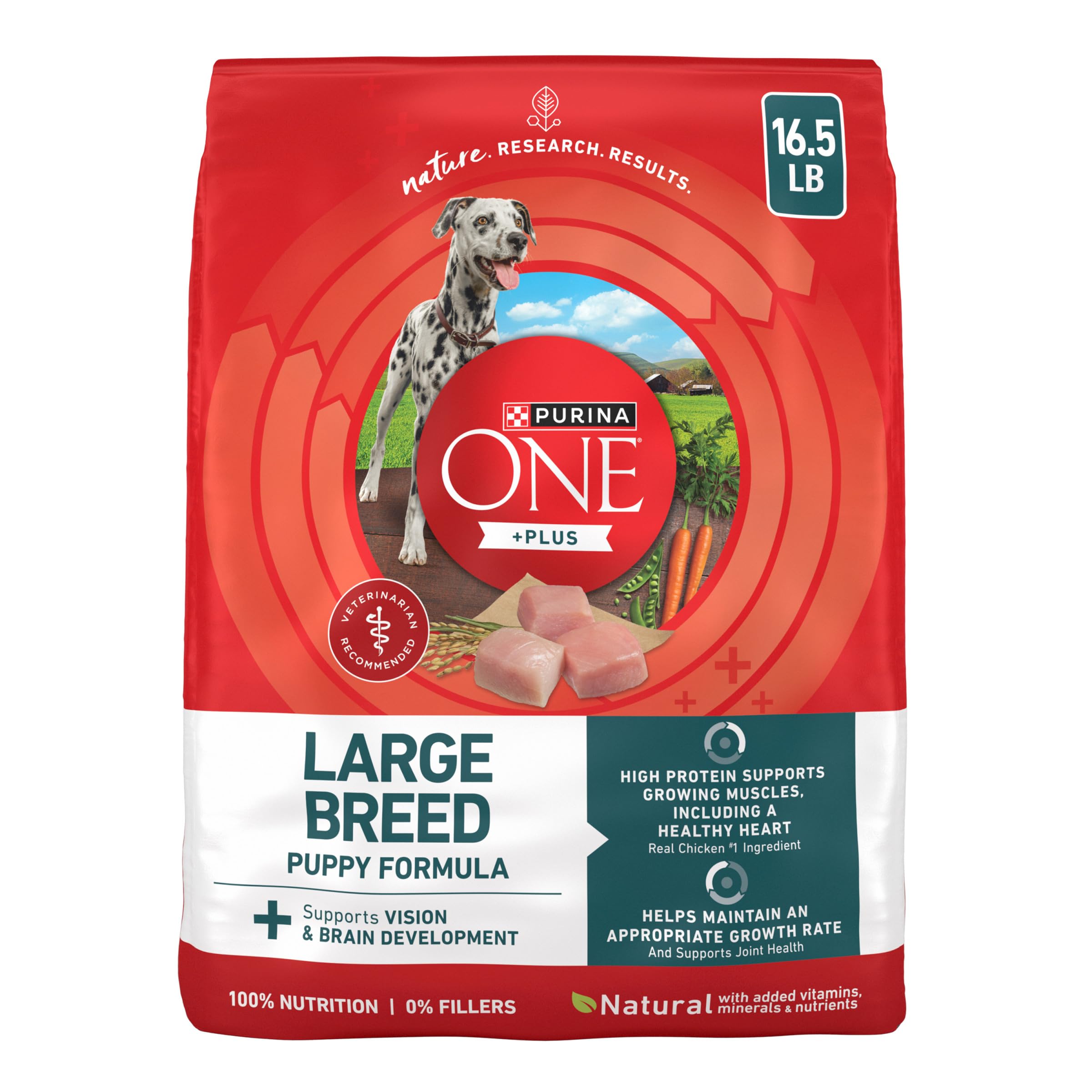 Purina ONE Plus Large Breed Puppy Food