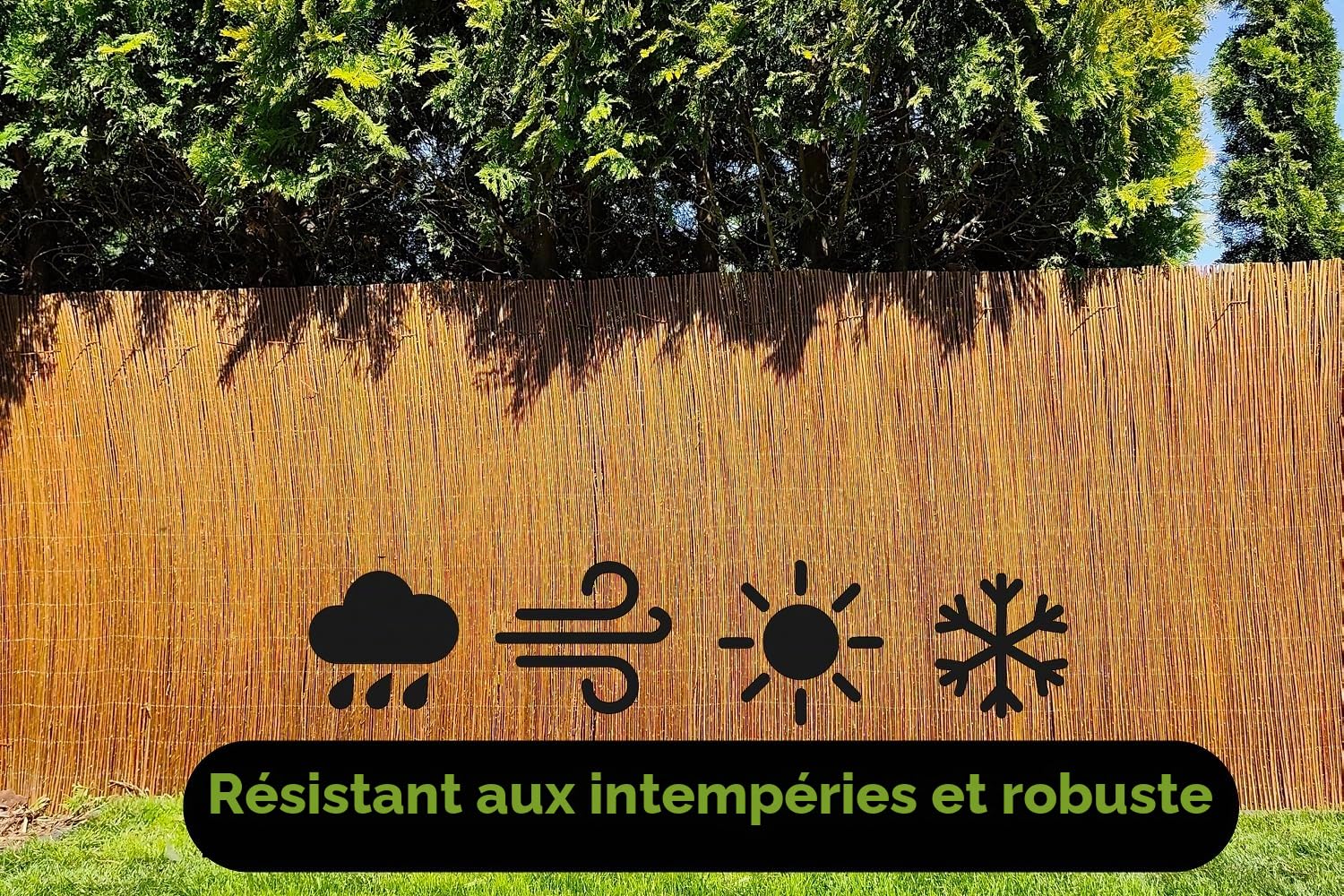 Canisse Osier 100 x 500 cm Clôture de Saule -Canisse Brise Vue Balcon et Patio - Cloture Jardin Exterieur - Protection Contre Le Vent & Le Soleil - 100% Naturel