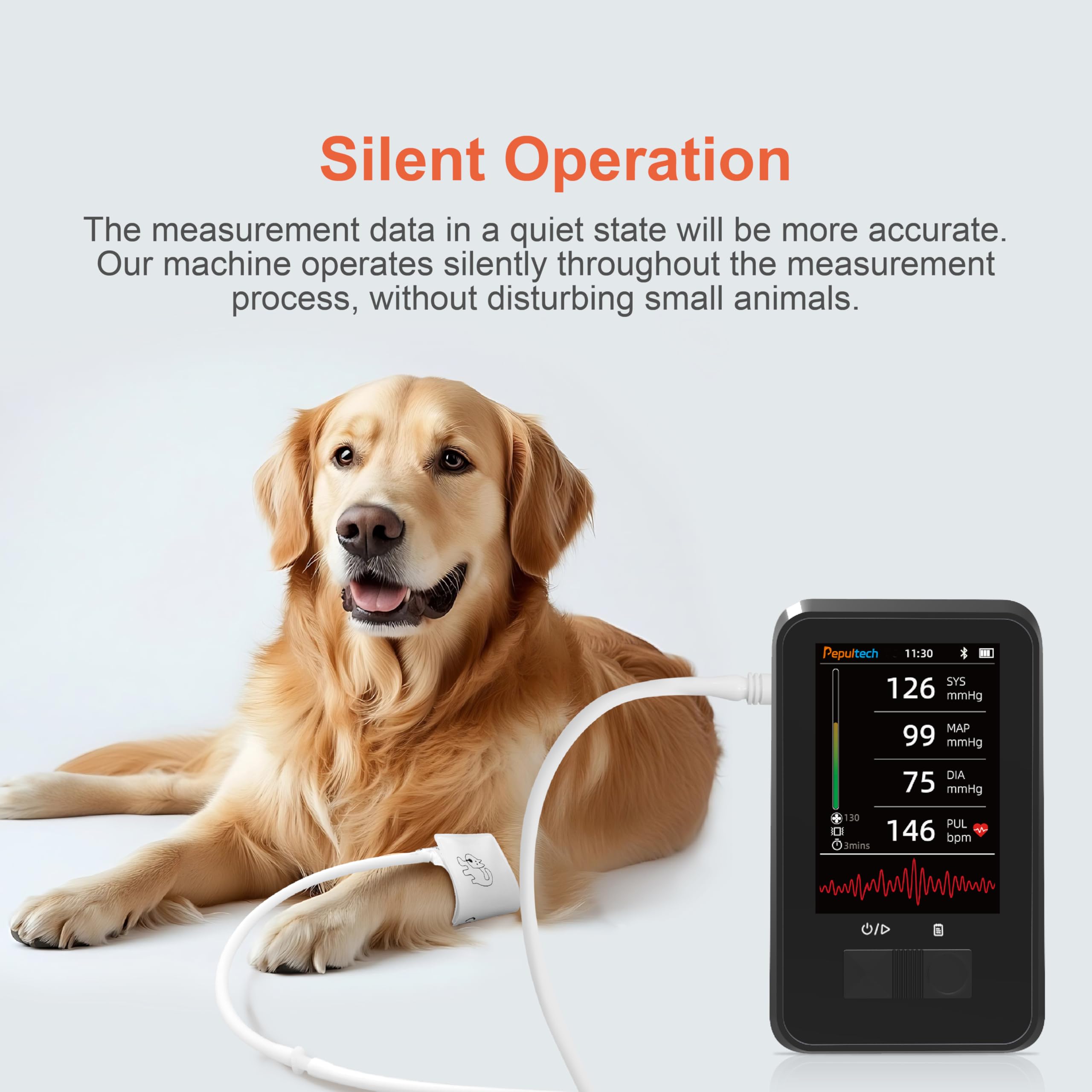 Moniteur de pression artérielle vétérinaire, machine de pression artérielle numérique automatique pour chien et chat, moniteur de pression artérielle pour chat à fonctionnement silencieux