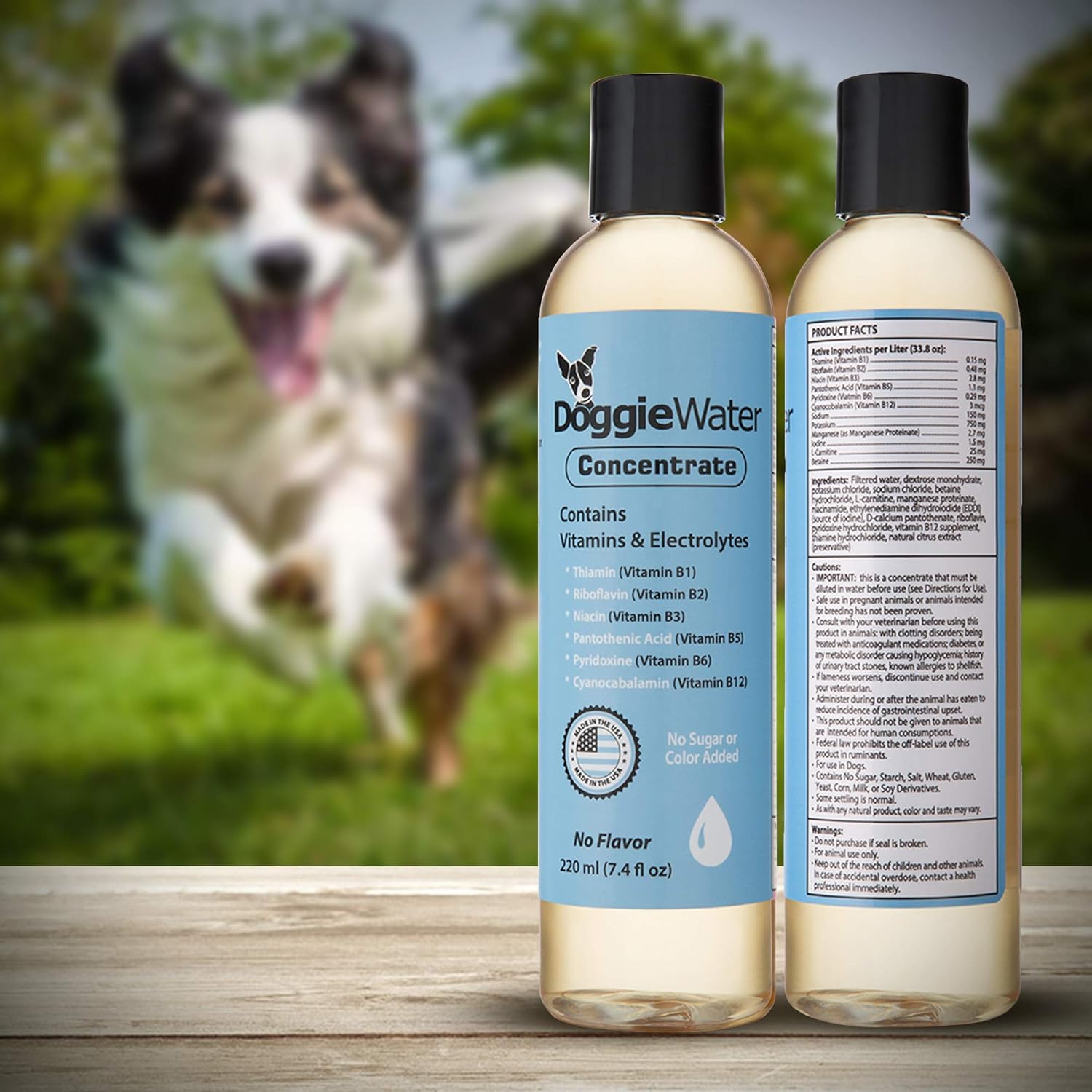 dog multivitamin supplements