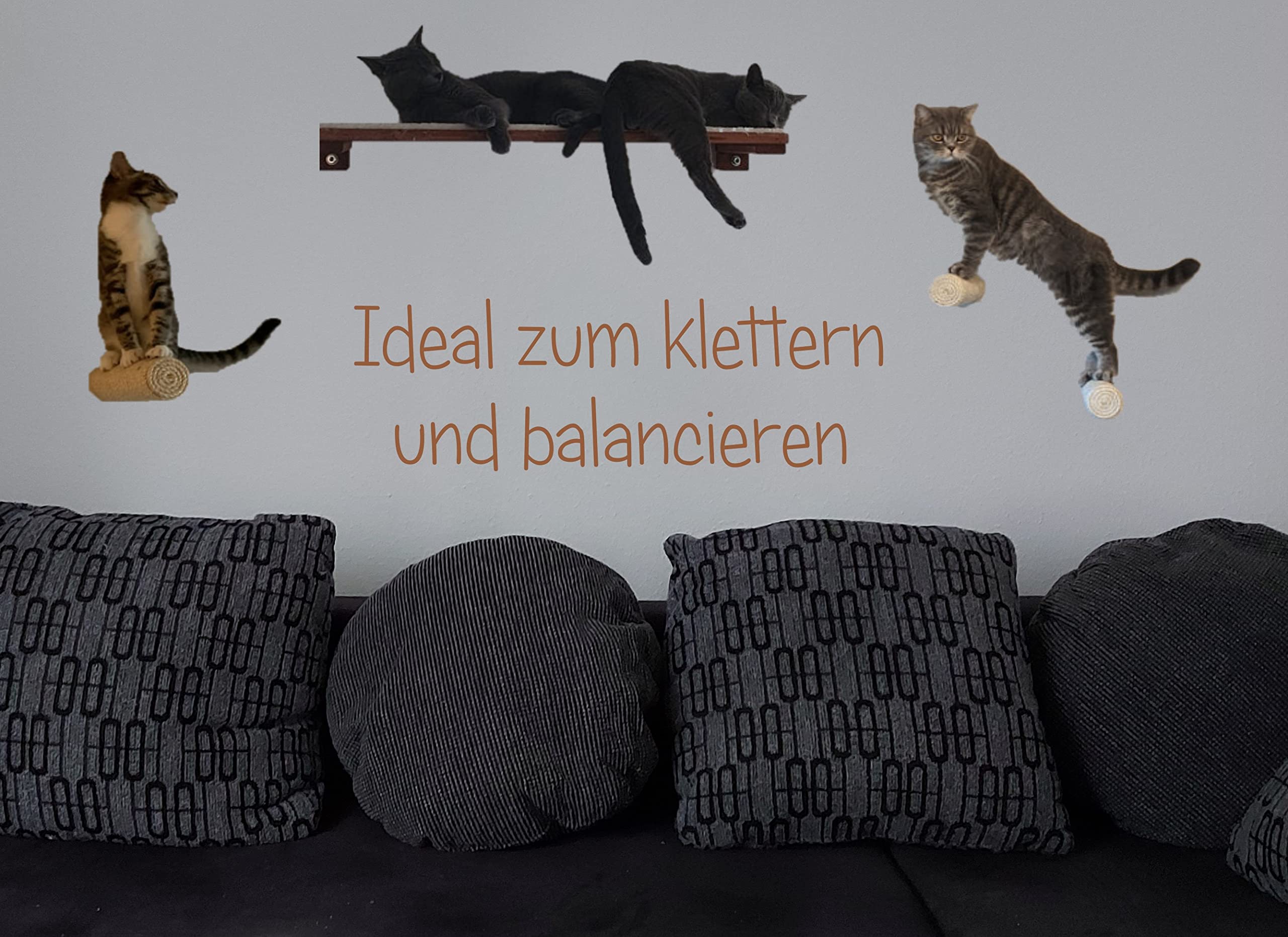 CapriCorner Kletter Wand Stufe für Katzen, 20 x 7 cm Katzenwand Katzentreppe Catwalk (3 Stück)