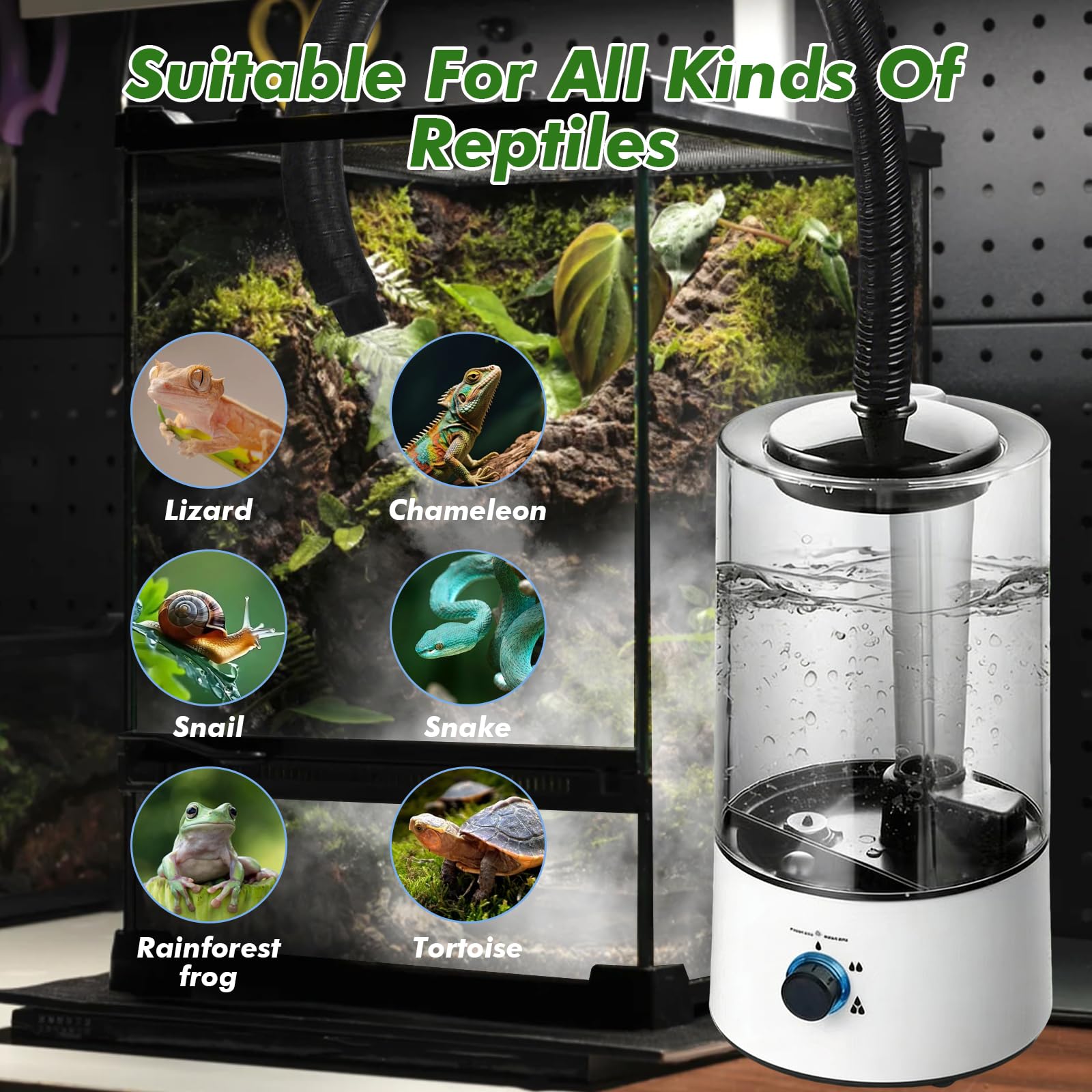 Umidificatore rettile terrario, accessorio per terrario con tubo di spruzzo regolabile, nebulizzatore ultraleggero con protezione contro il funzionamento a secco per rettili, anfibi e piante tropicali
