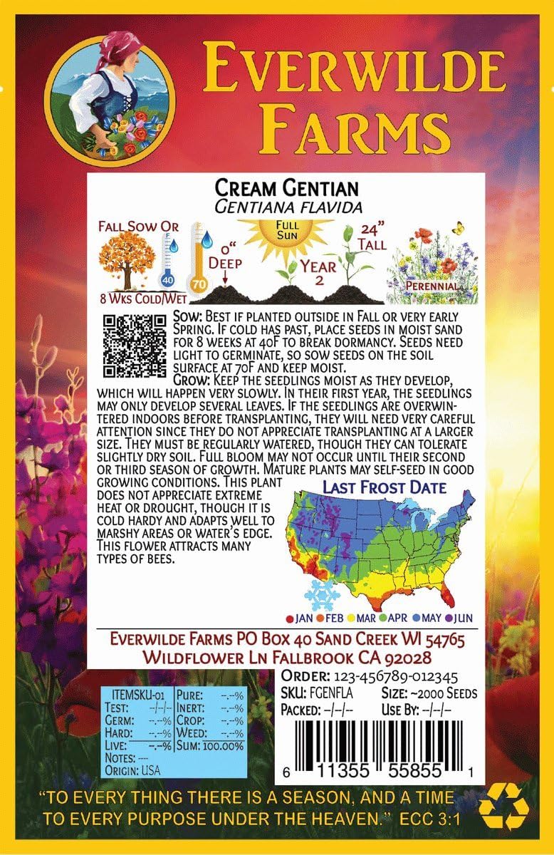 Everwilde Farms - 1 Oz Cream Gentian Native Wildflower Seeds - Gold Vault