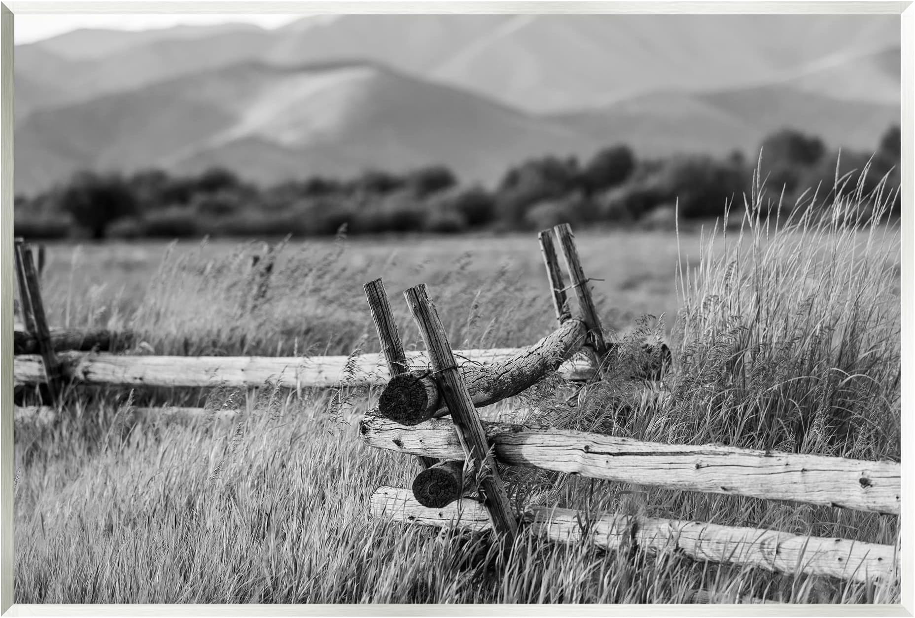 Stupell IndustriesCountryside Ranch Fence Rural Pasture Grass Photography Wood Wall Art, Design By Steve Smith