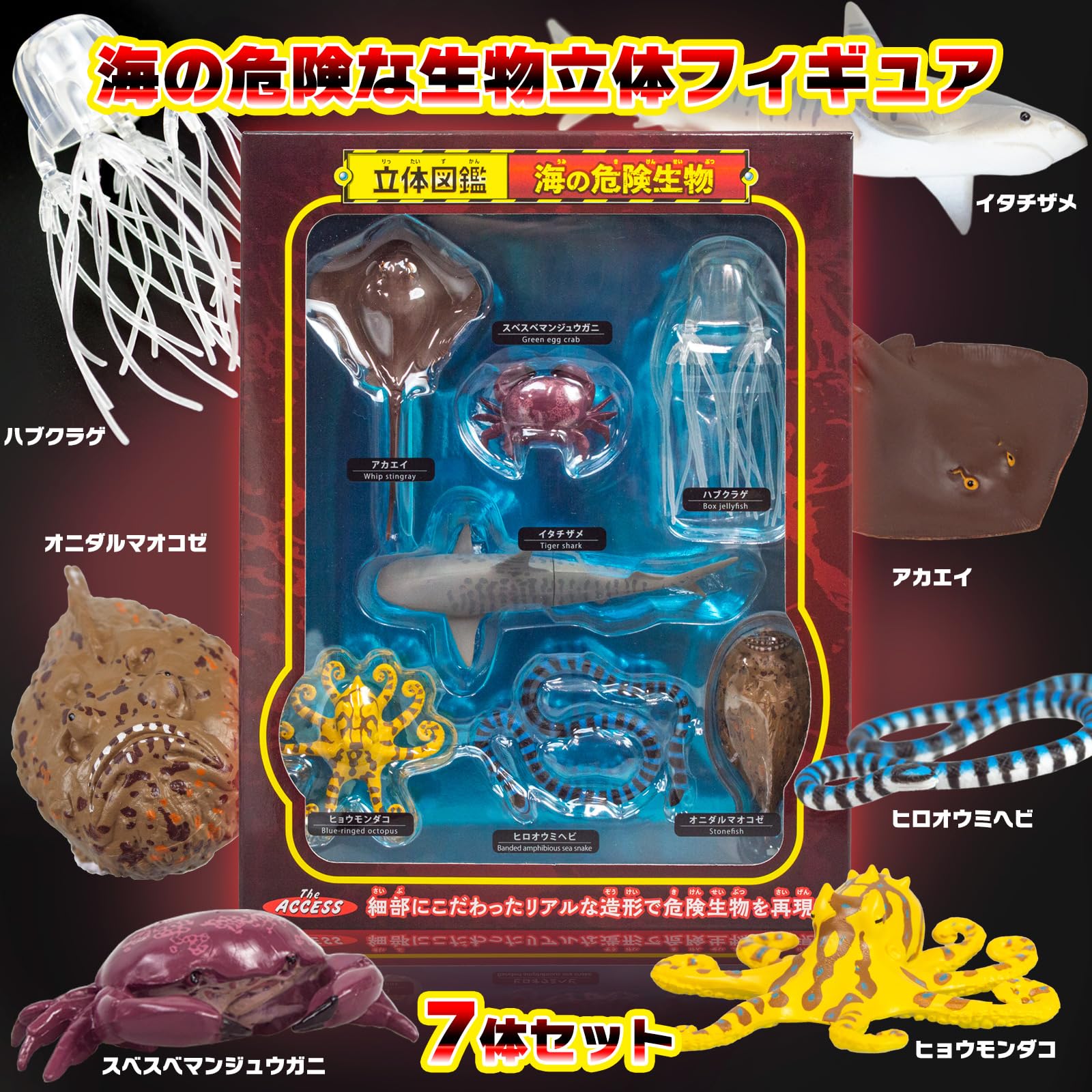 Amazon | ザ・アクセス フィギュア 海の危険生物 立体図鑑 動物 水族館
