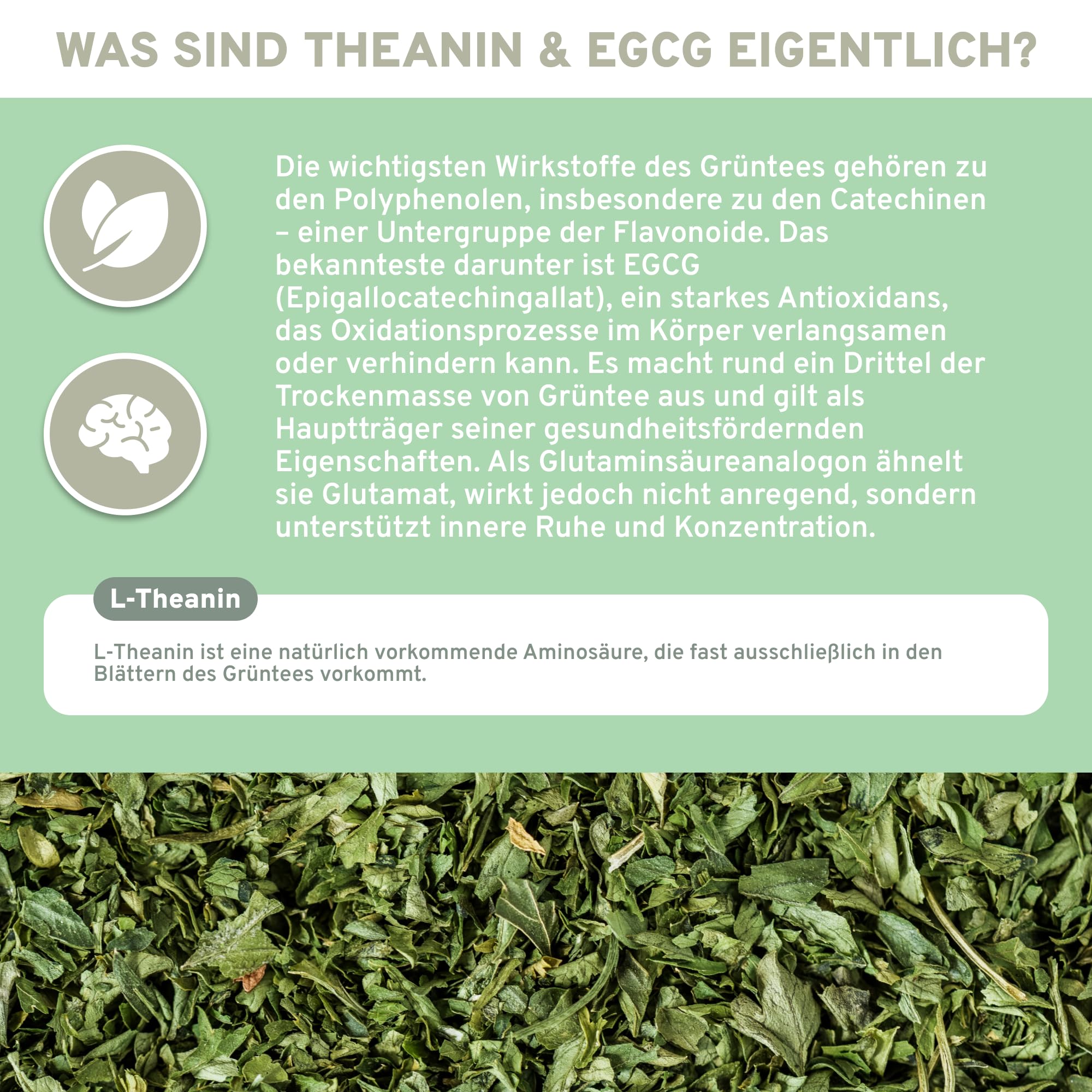 QIDOSHA® L-Theanin & EGCG aus Grüntee-Extrakt, 180 Kapseln im Apothekerglas, 500mg je Kapsel, davon 40% L-Theanin, 30% Tee-Polyphenole & 10% EGCG, Wirkstoffgehalt in externem Labor testiert