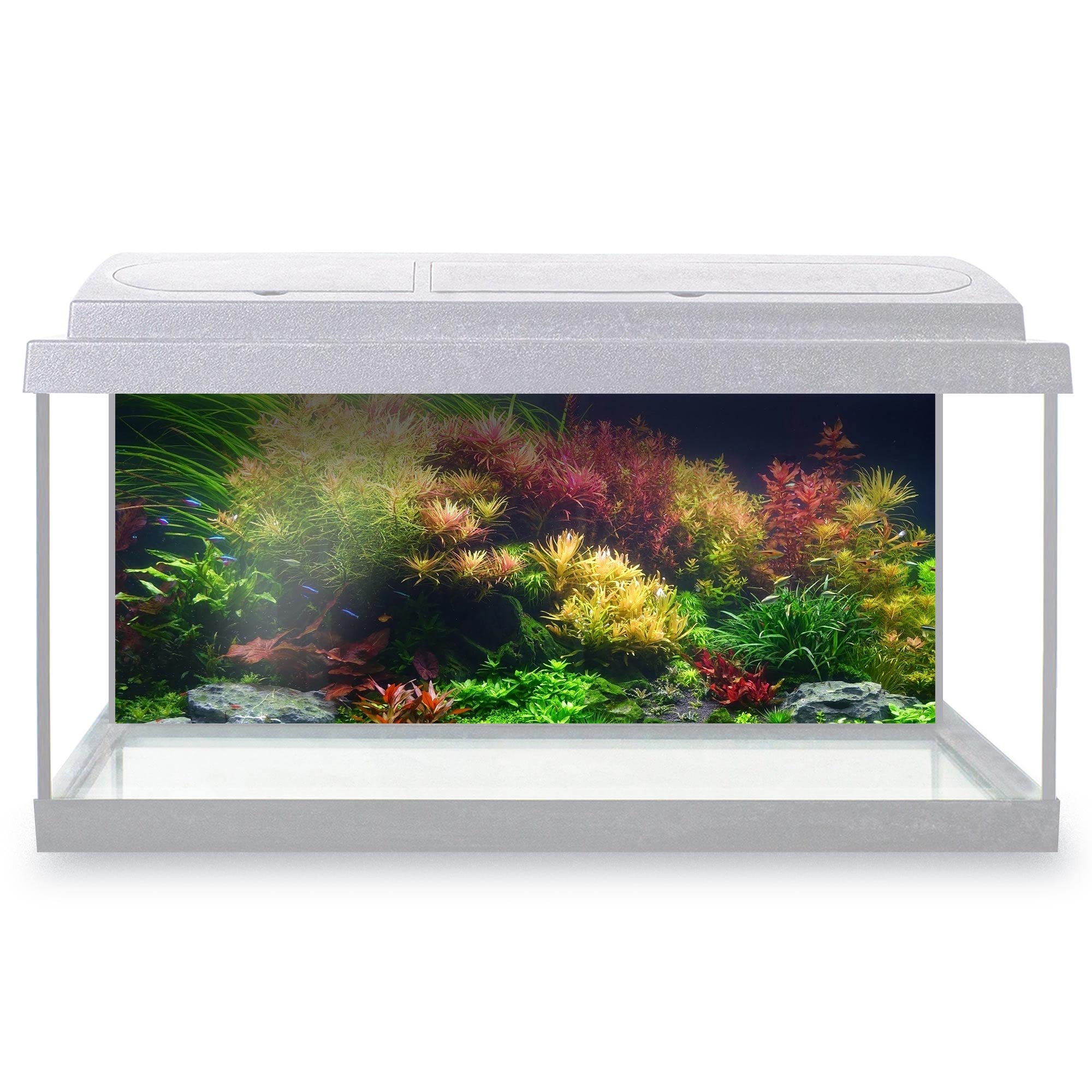 DV DESIGN Aquarium Fish Tank Background 77x32 cm - Colorful Aquatic Plants Tank Marine Landscape Underwater World Static Cling Vinyl Vivarium Terrarium External Application #500032