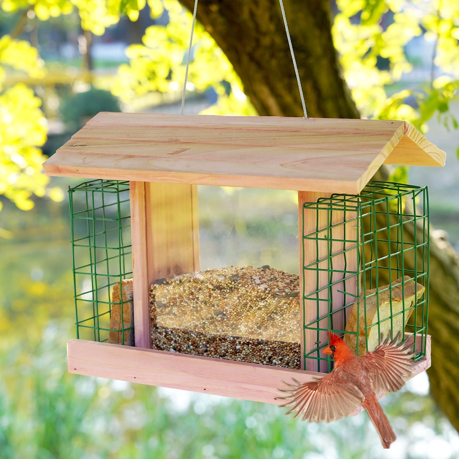 Wooden House Bird Feeder for Outdoors Hanging Cedar Wood Birdfeeder DIY with Blue