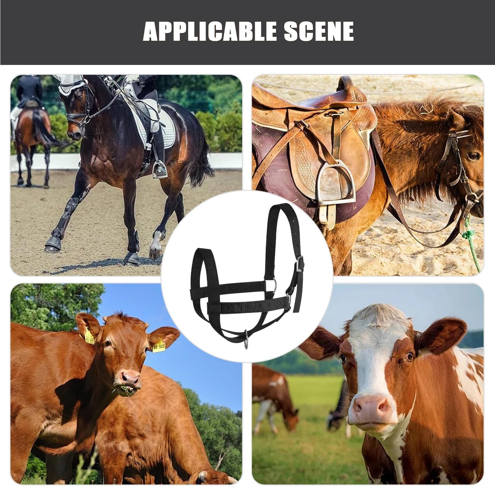 Haltère Pour Veau - Haltérisation Veau Et Laisse De Conduite - Nylon Adjustable Renforcé Équipement Dressage Bétail Pour Manipulation Présentation